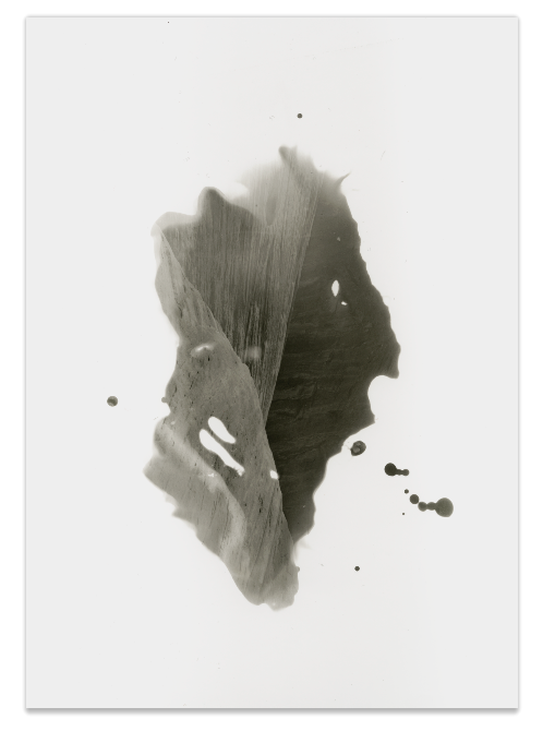 limited edition carbon pigment print