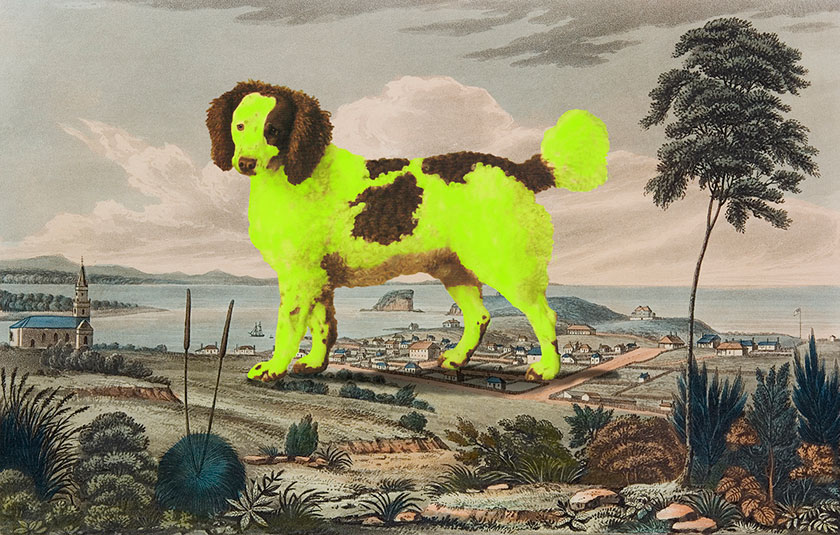 Lassie come home 2013