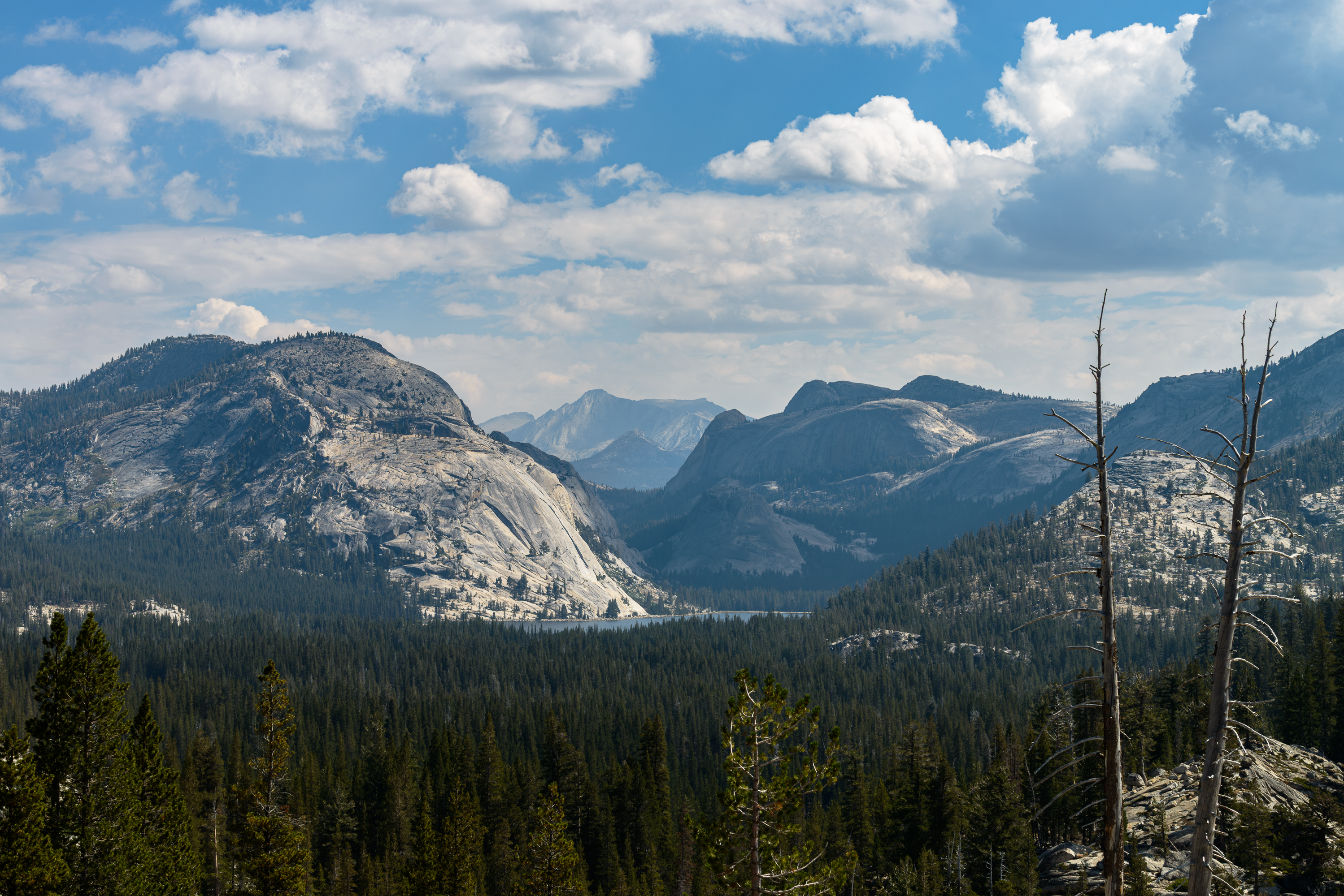 Le parc national de Yosemite, Sierra Nevada, à l'est de l'État de Californie.
