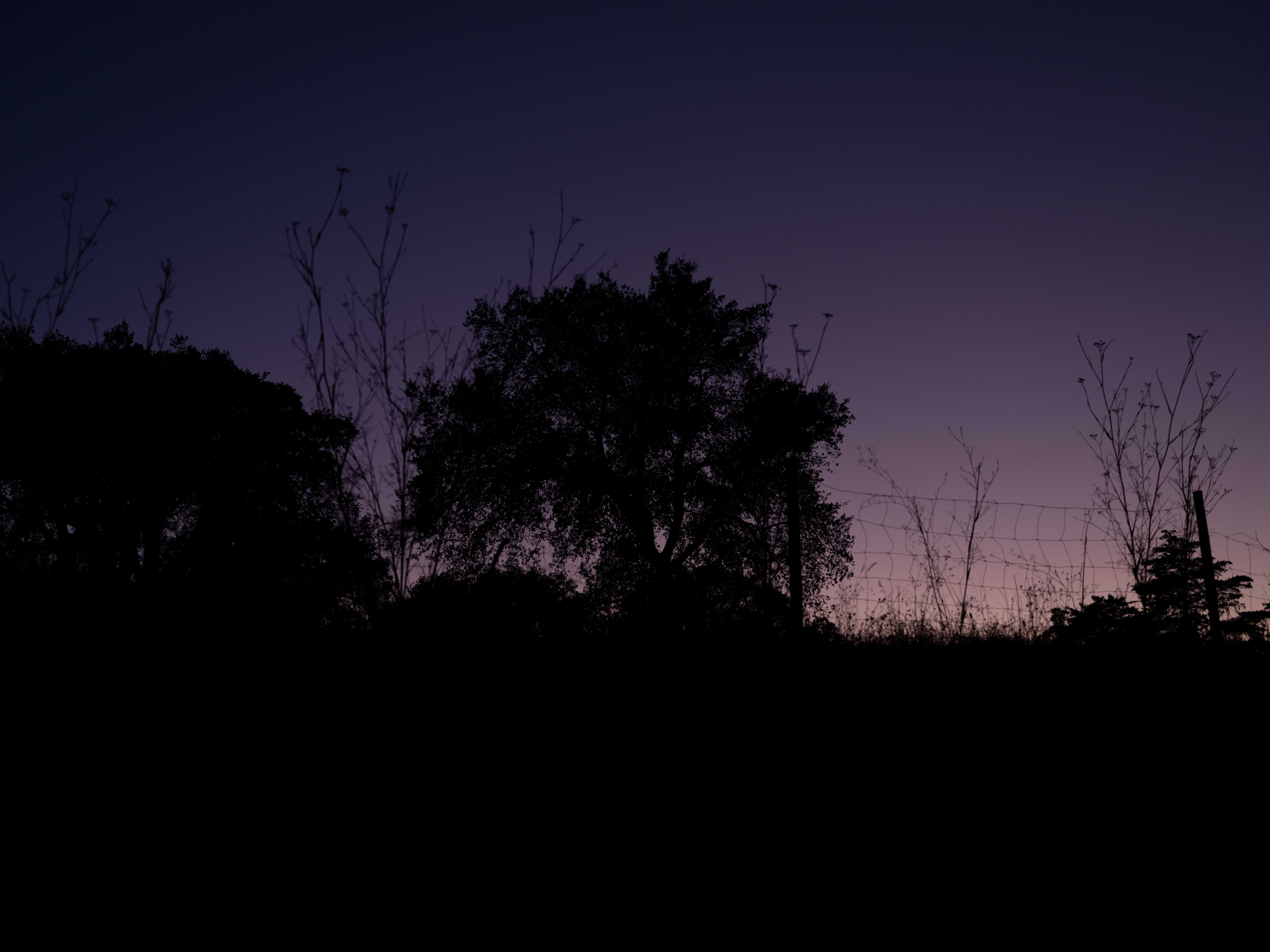 FILHA DE CARVAO E OURO NEGRO (portugues)