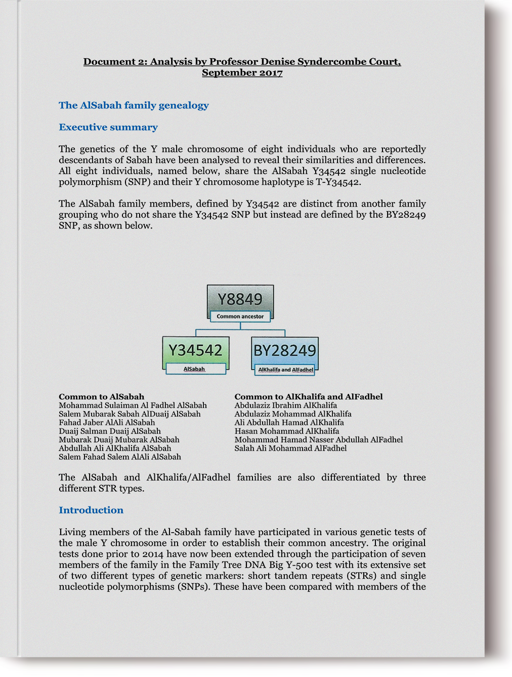 Document 2: Analysis by Professor Denise Syndercombe Court, September 2017