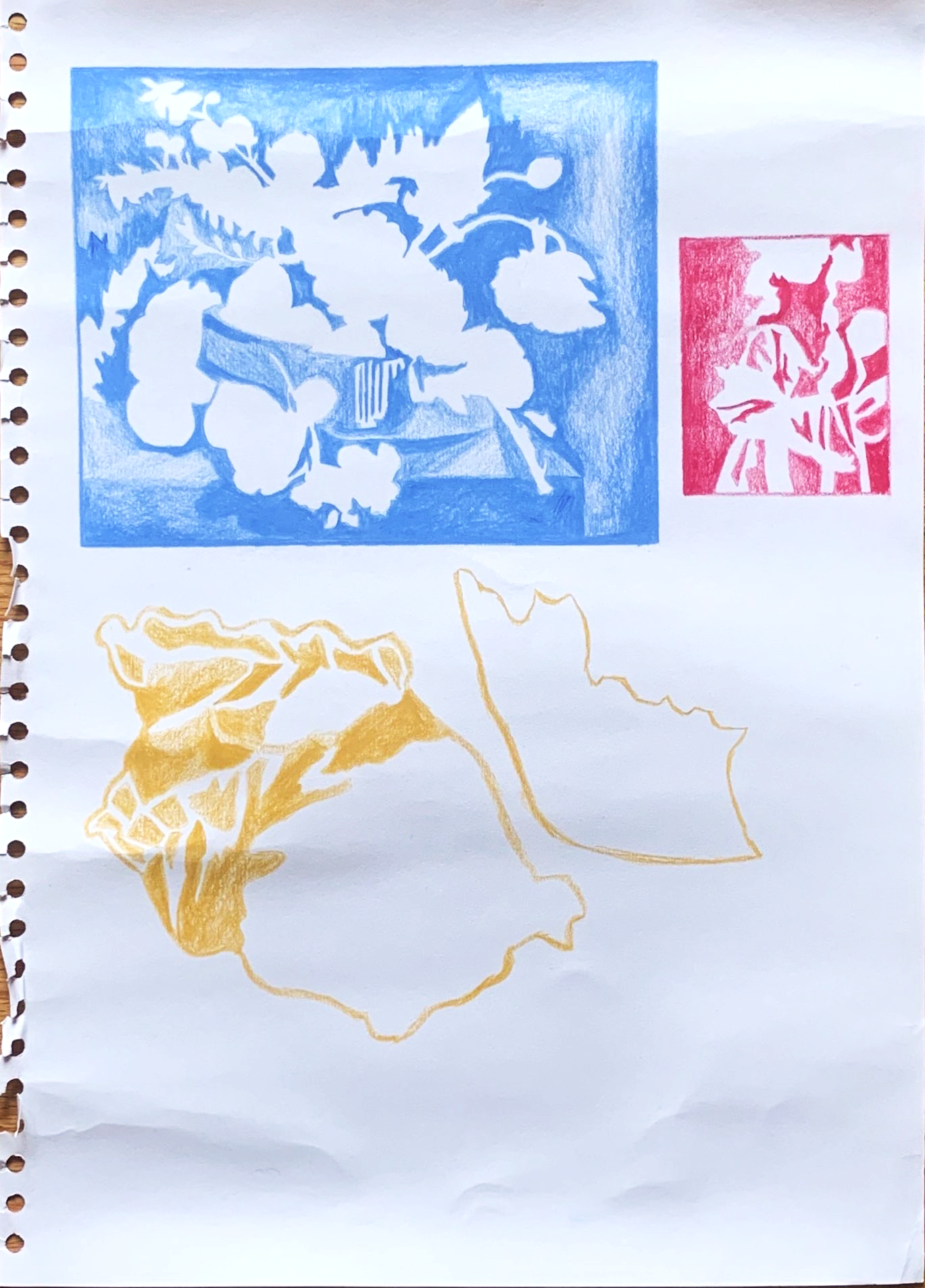 colored pencil, spring 2019