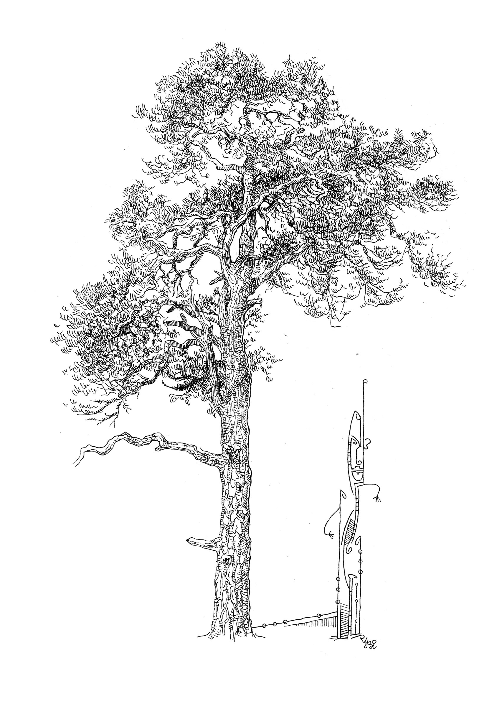 A pine and a dear friend