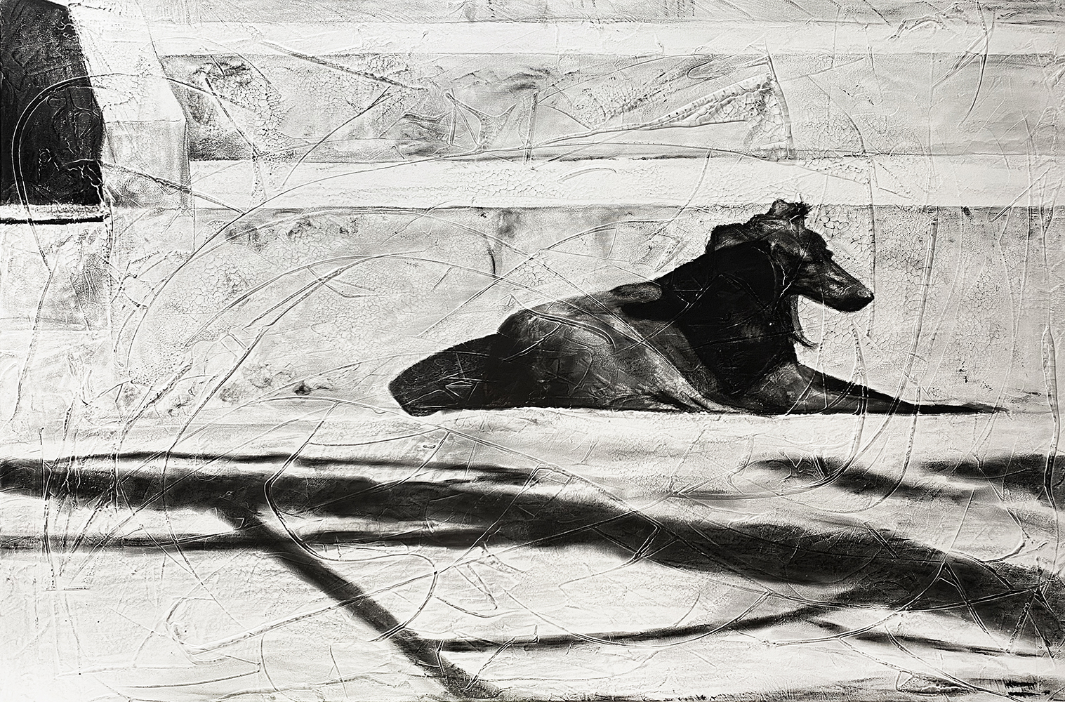 The dog in sunny day at Kathmandu, 2021, charcoal, industrial paint on abandoned canvas, 89.4*130.3(cm)