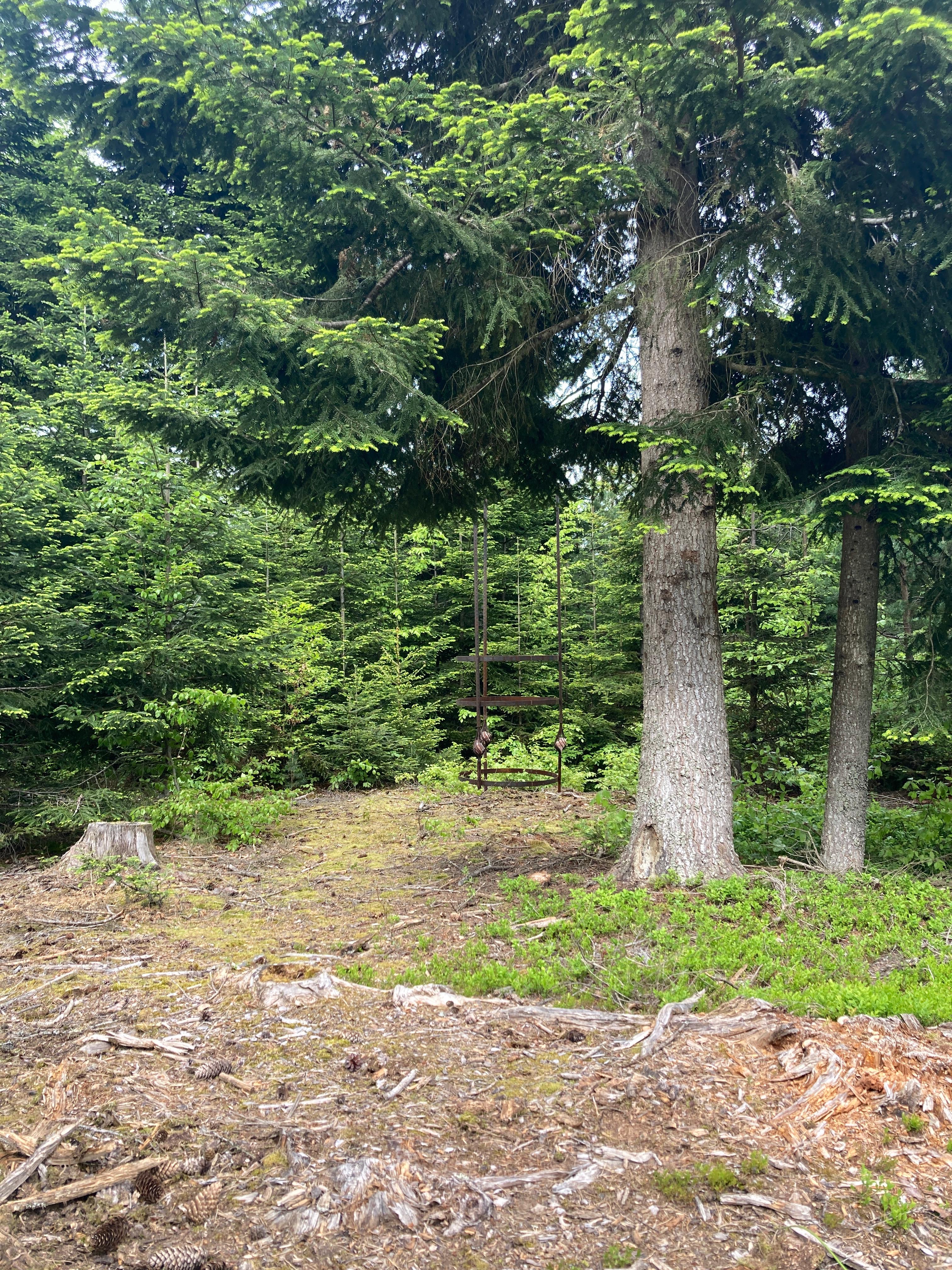 (c) Lukas Weithas (Salzleck-Skulptur, Stahl, Salzlecksteine, Wild-Kamera, 2024)