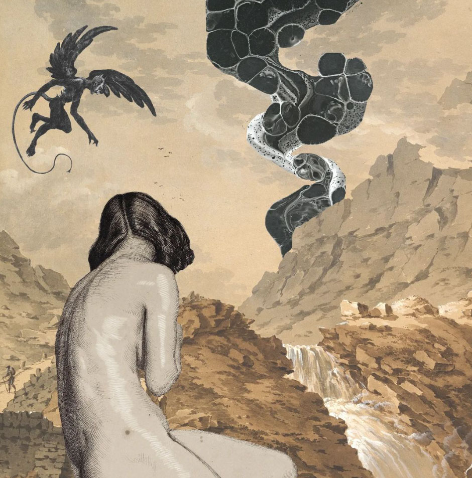 Regina Lafay Bellamy