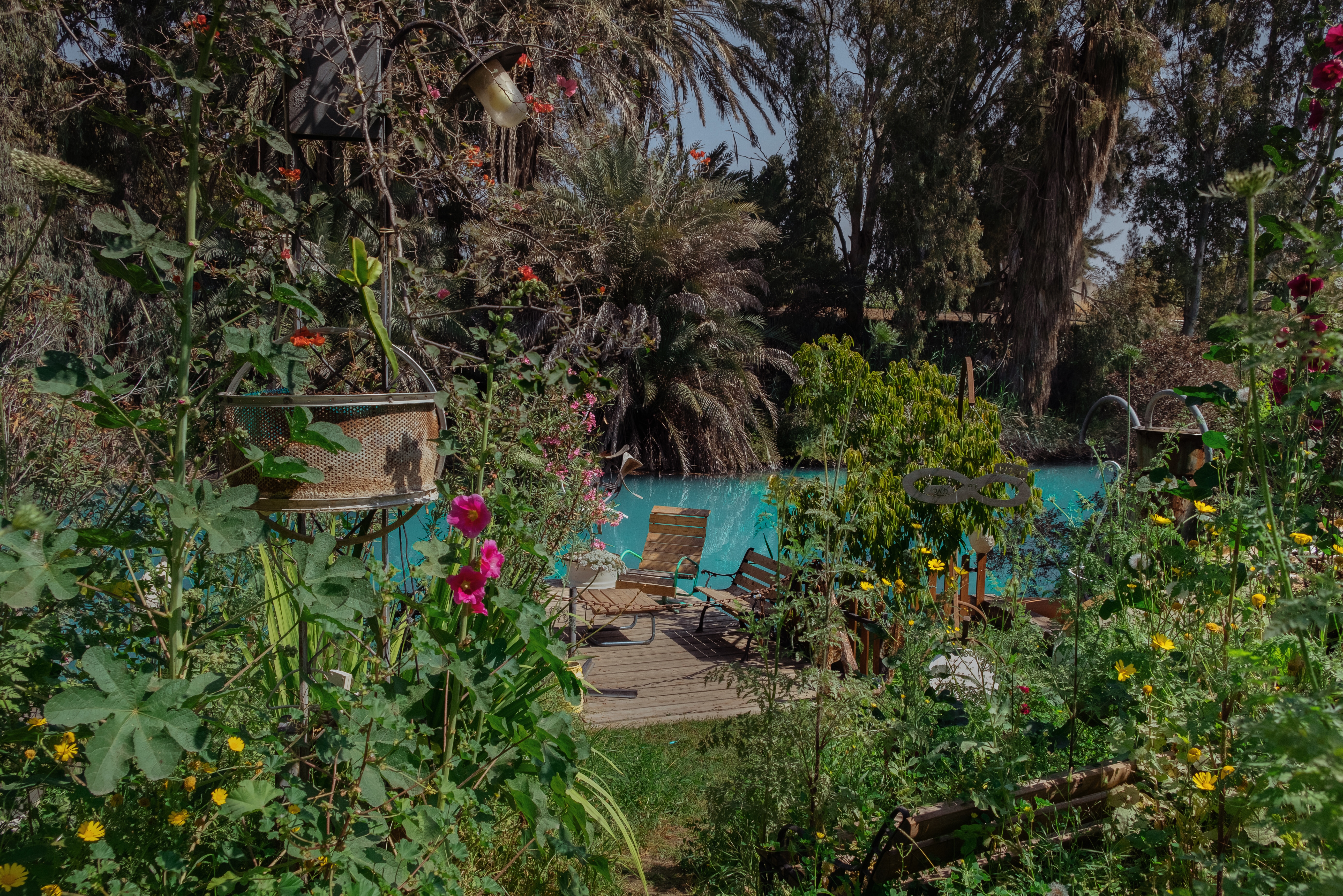 The New York Times - Fight Over a Gentle Stream Distills Israel’s Political Divide.