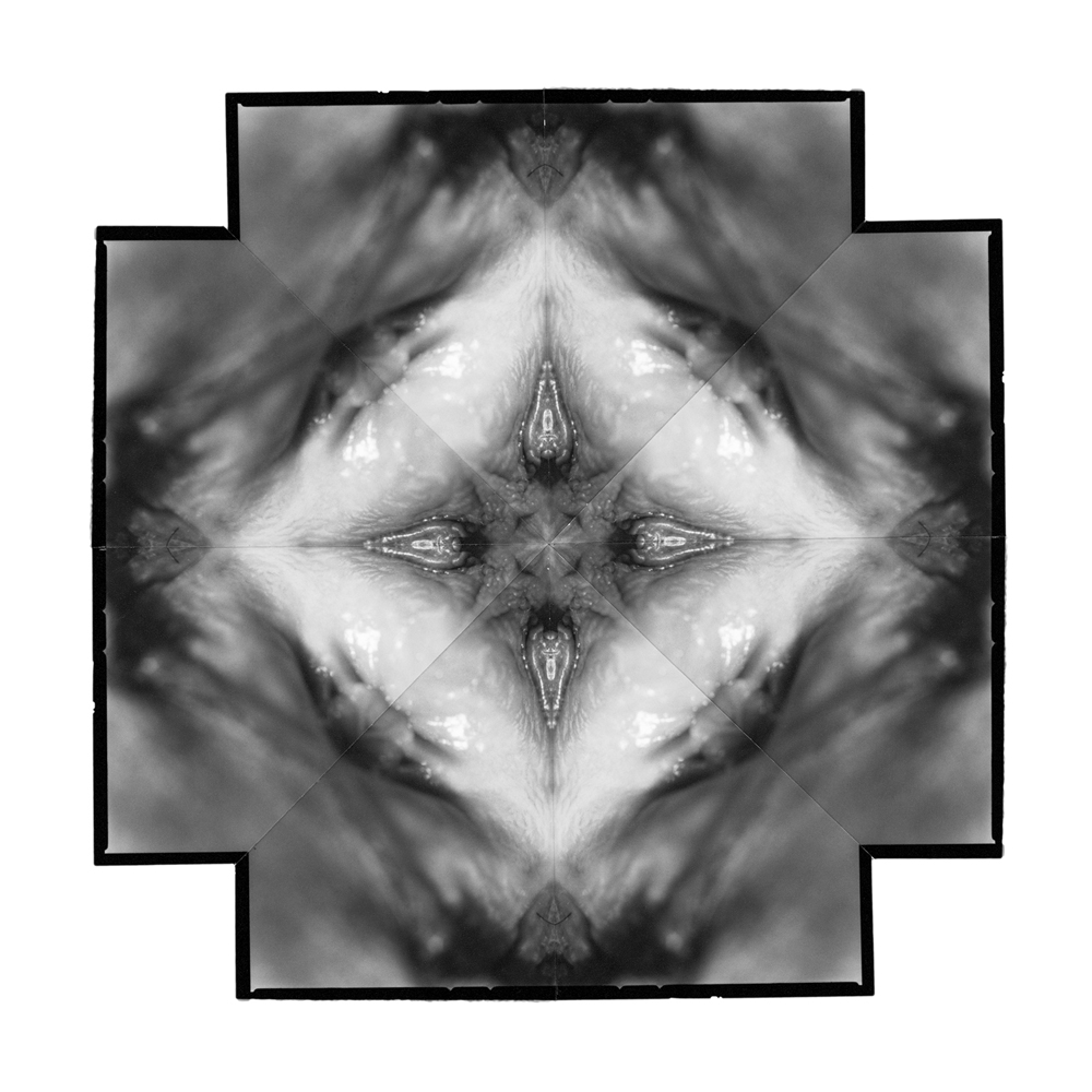 2004 07The Flowers of DelightKvetiny slasti