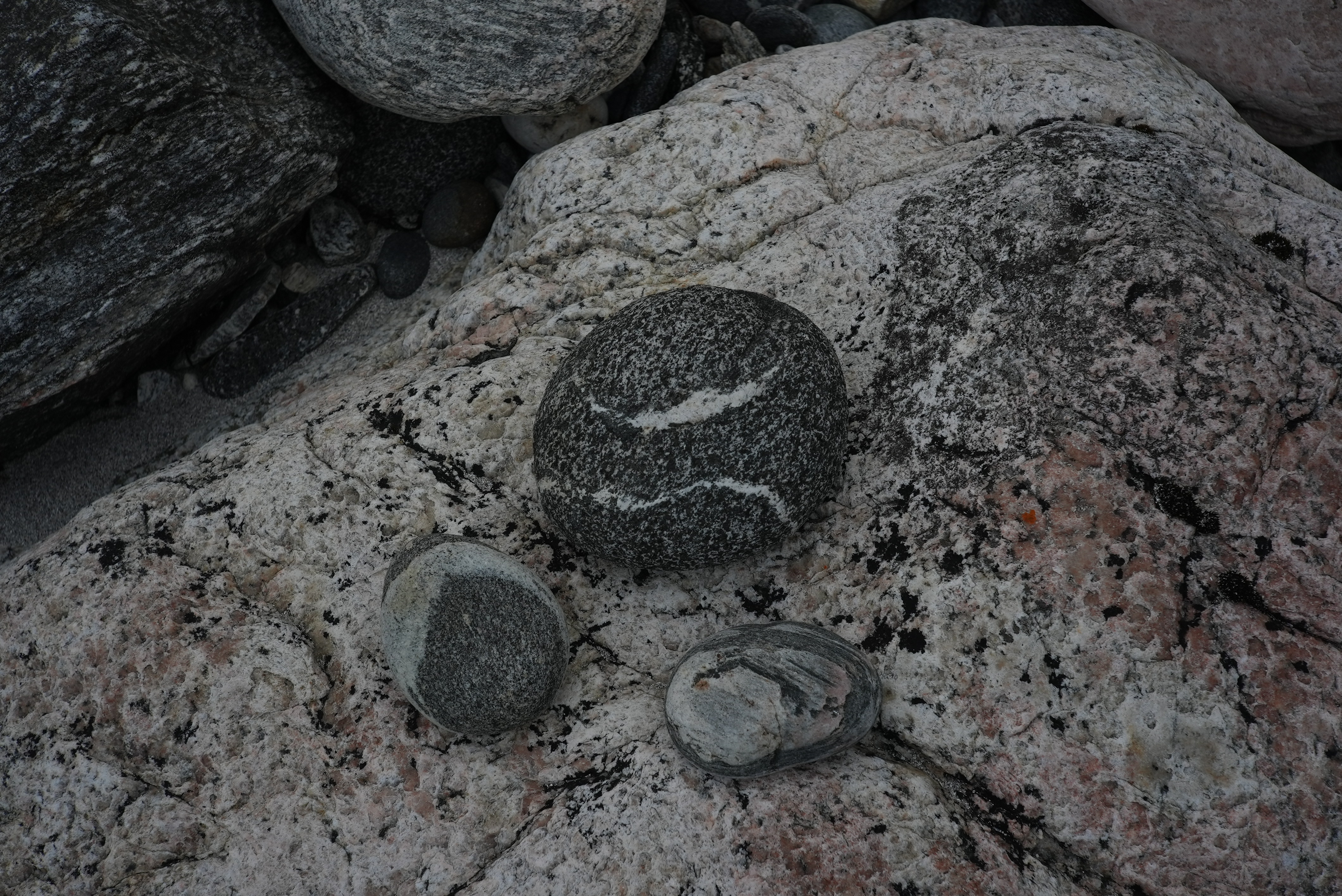 FIELD TRIP TO ANDØYA (August 2023)