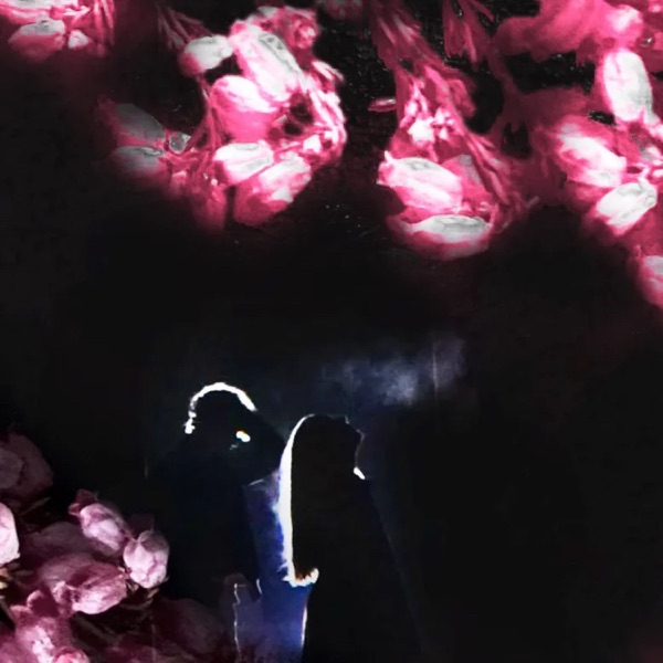 Merino - Save Money, Save Me Now (2023)