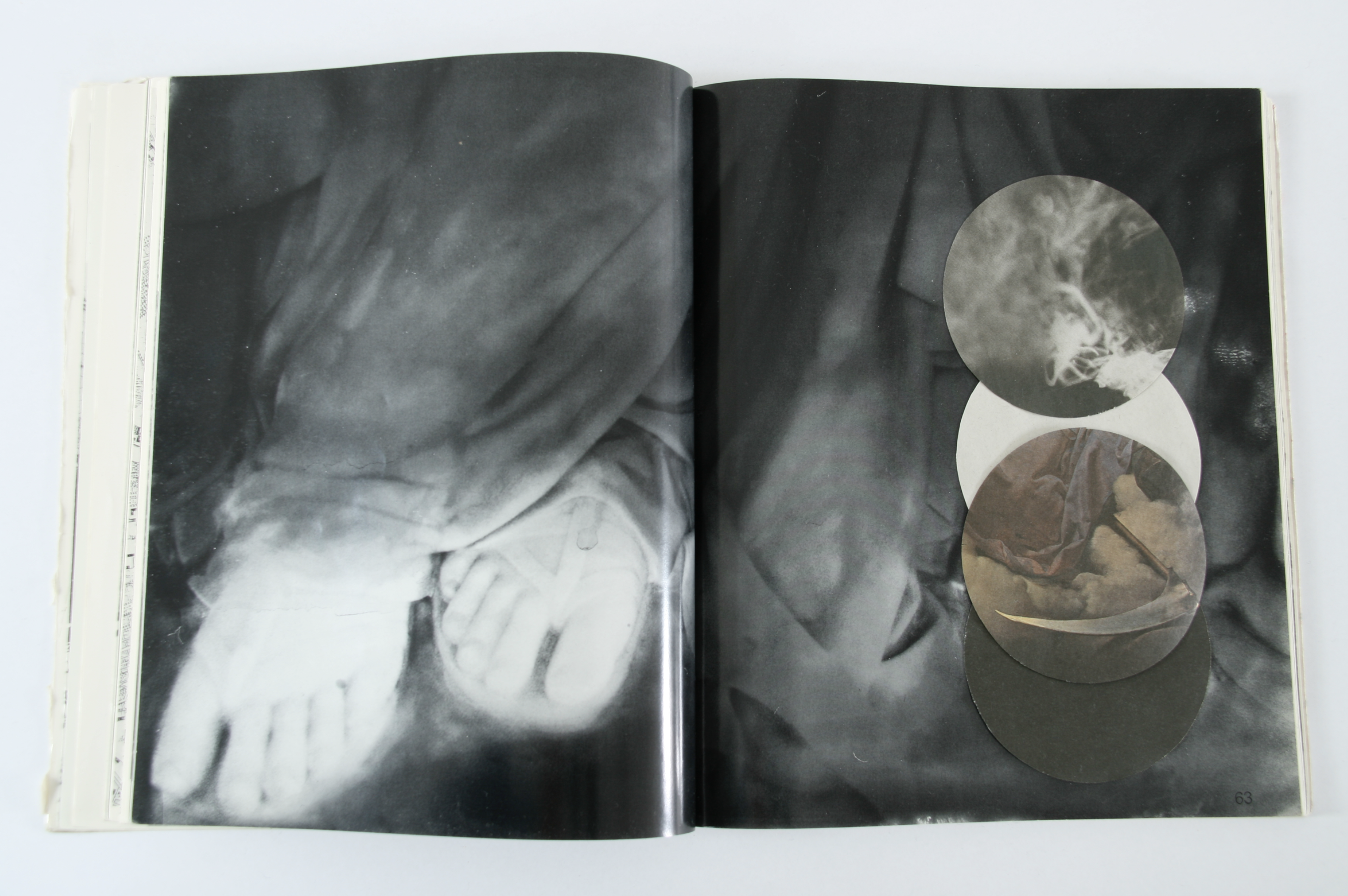 Schadow zum Geburstag, 2010, Fotoprint,  29,3 x 44 cm