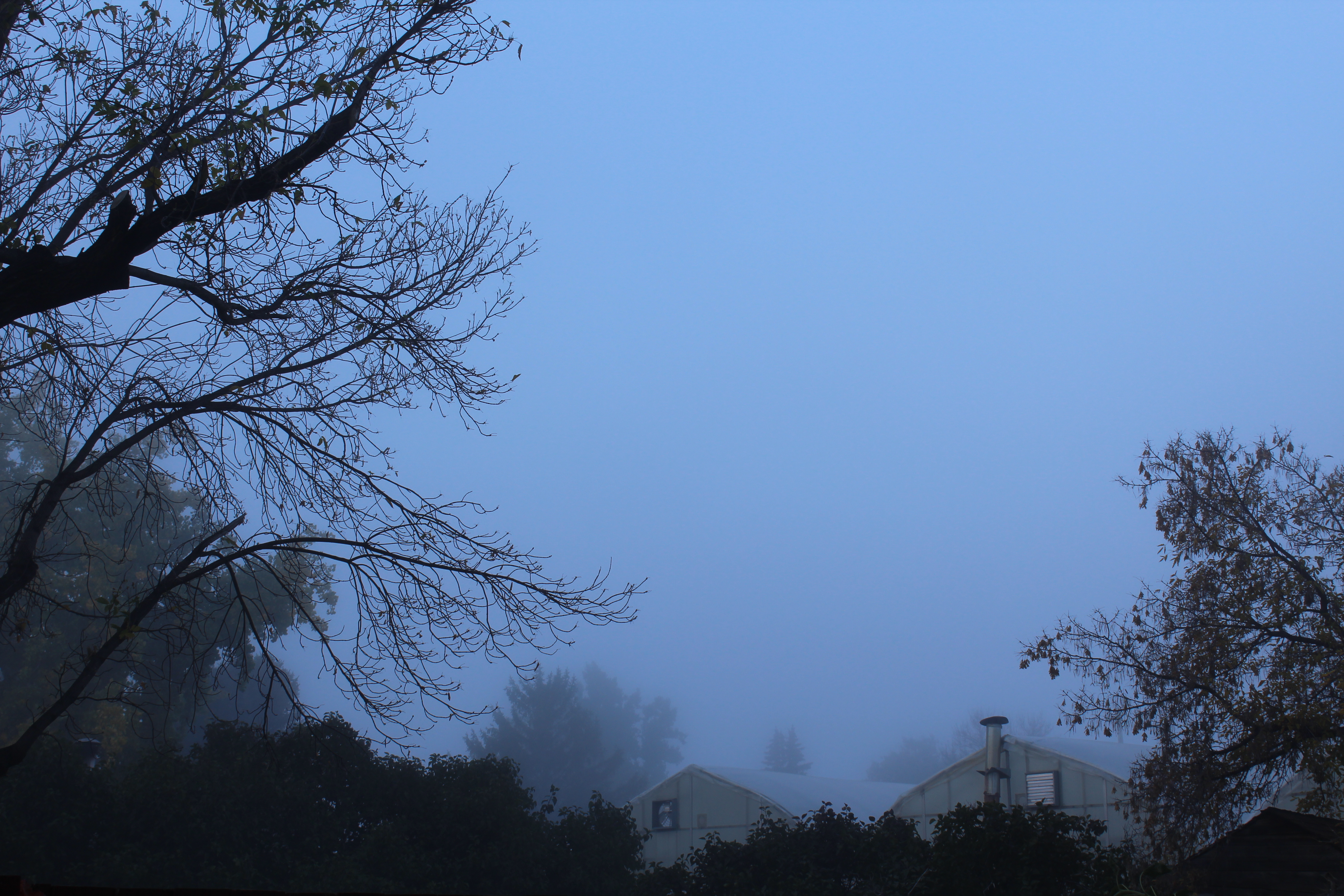 fog | 2016 | redcliff, ab