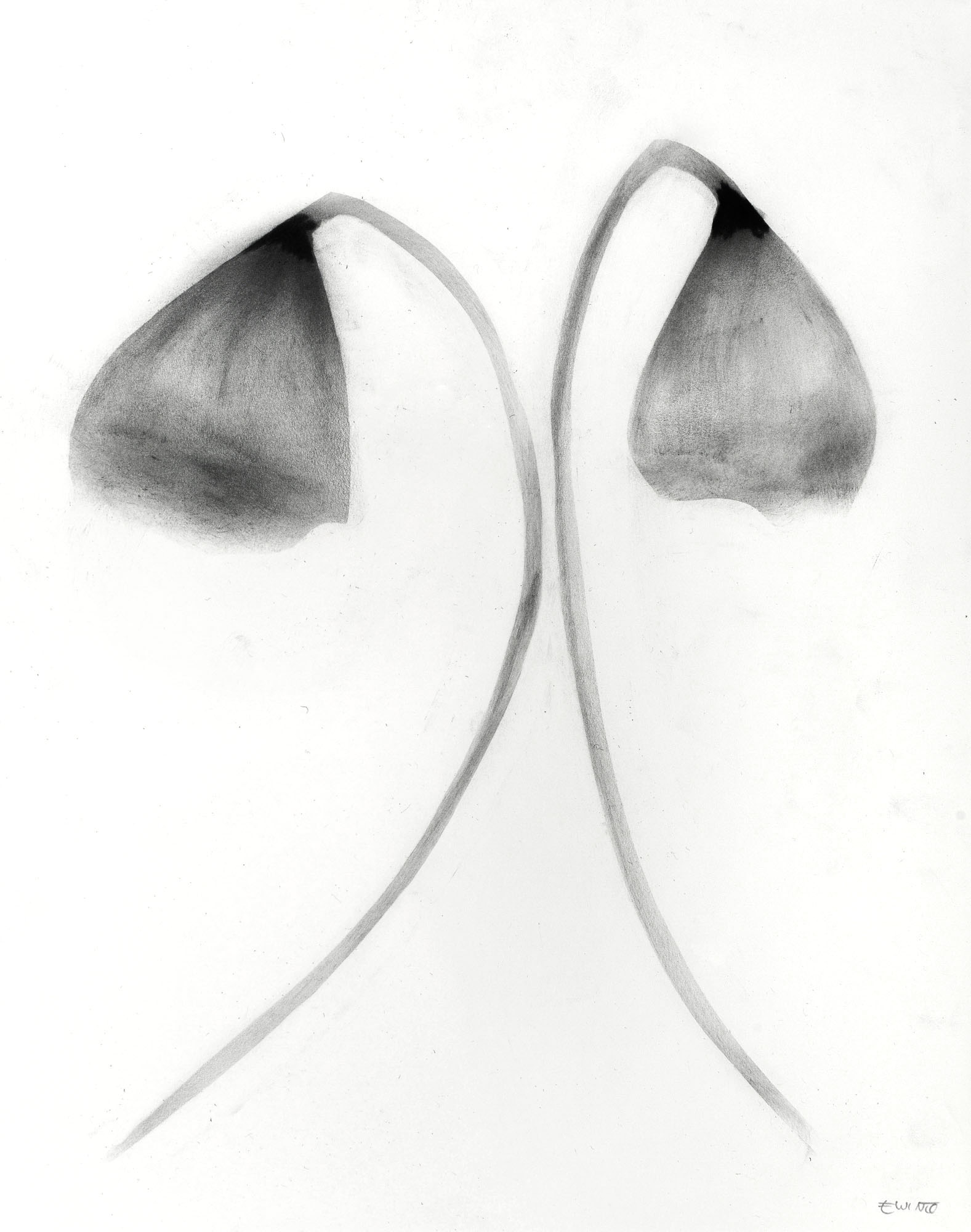 № 48 - 11 x 14" - $550