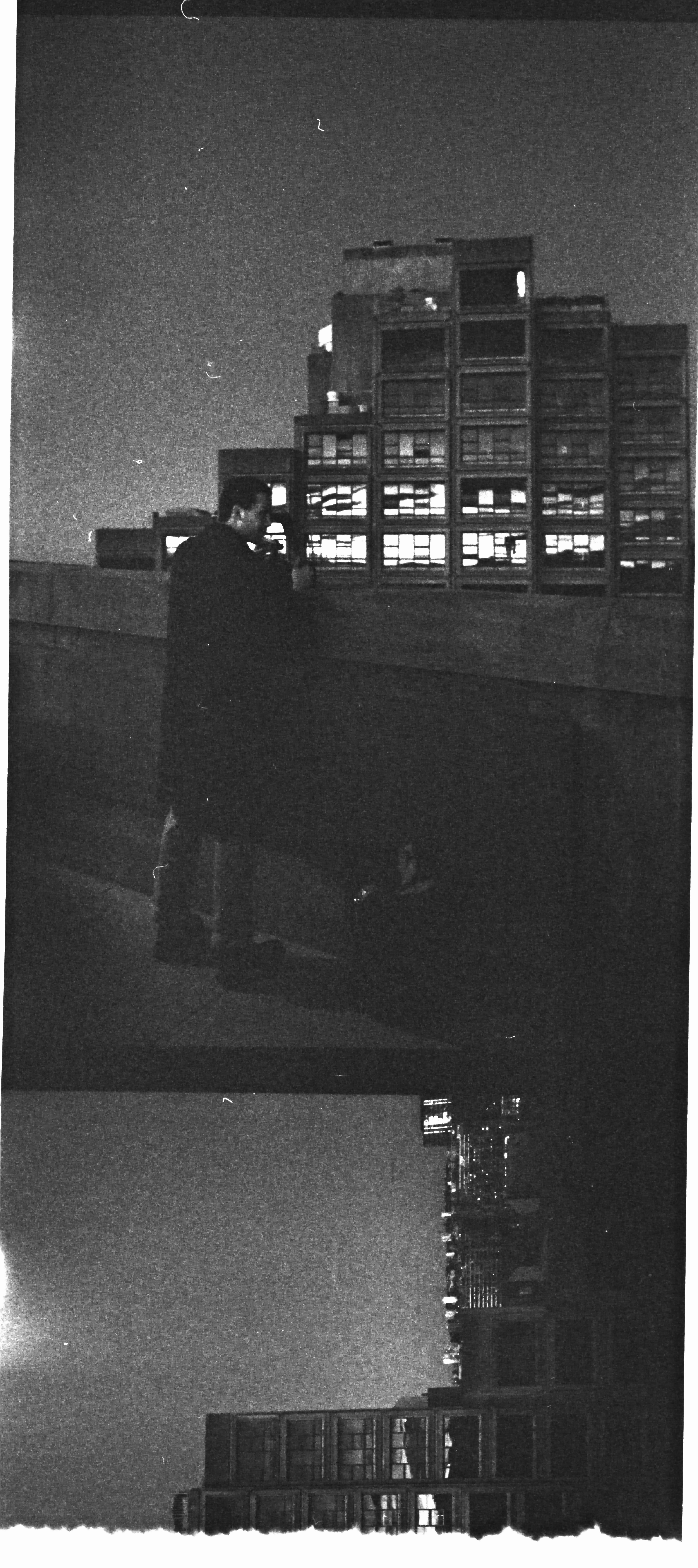 Brutal Old World at Dusk (2020)