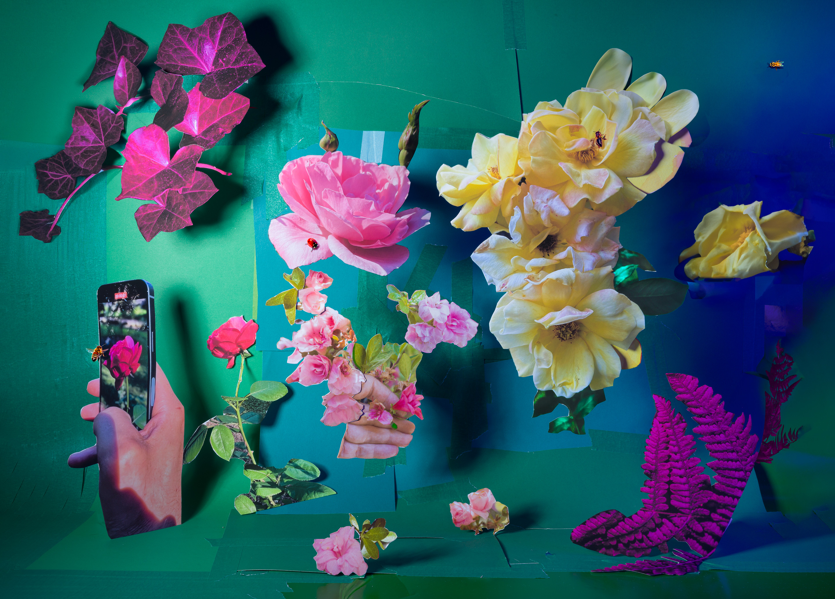 My Secret Garden, 2023, archival pigment print, 16.28” x 22.5”