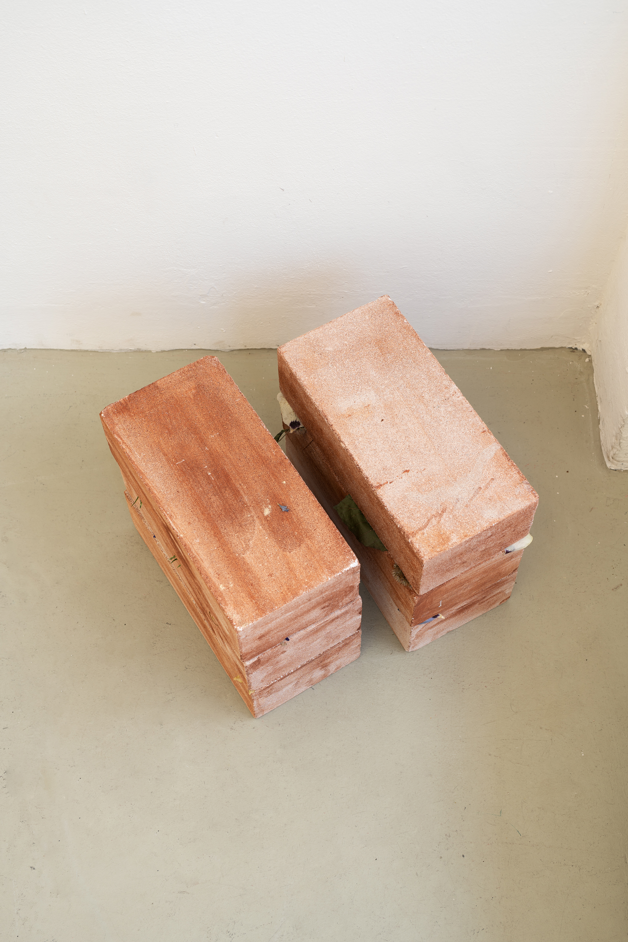 ground floor_4, 2022, variable dimension acrylic on stones, pressed flowers