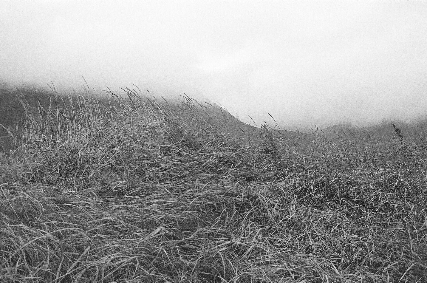 °04, 2015 : Épreuve à la gélatine argentique / Silver gelatin print, 11 x 14''