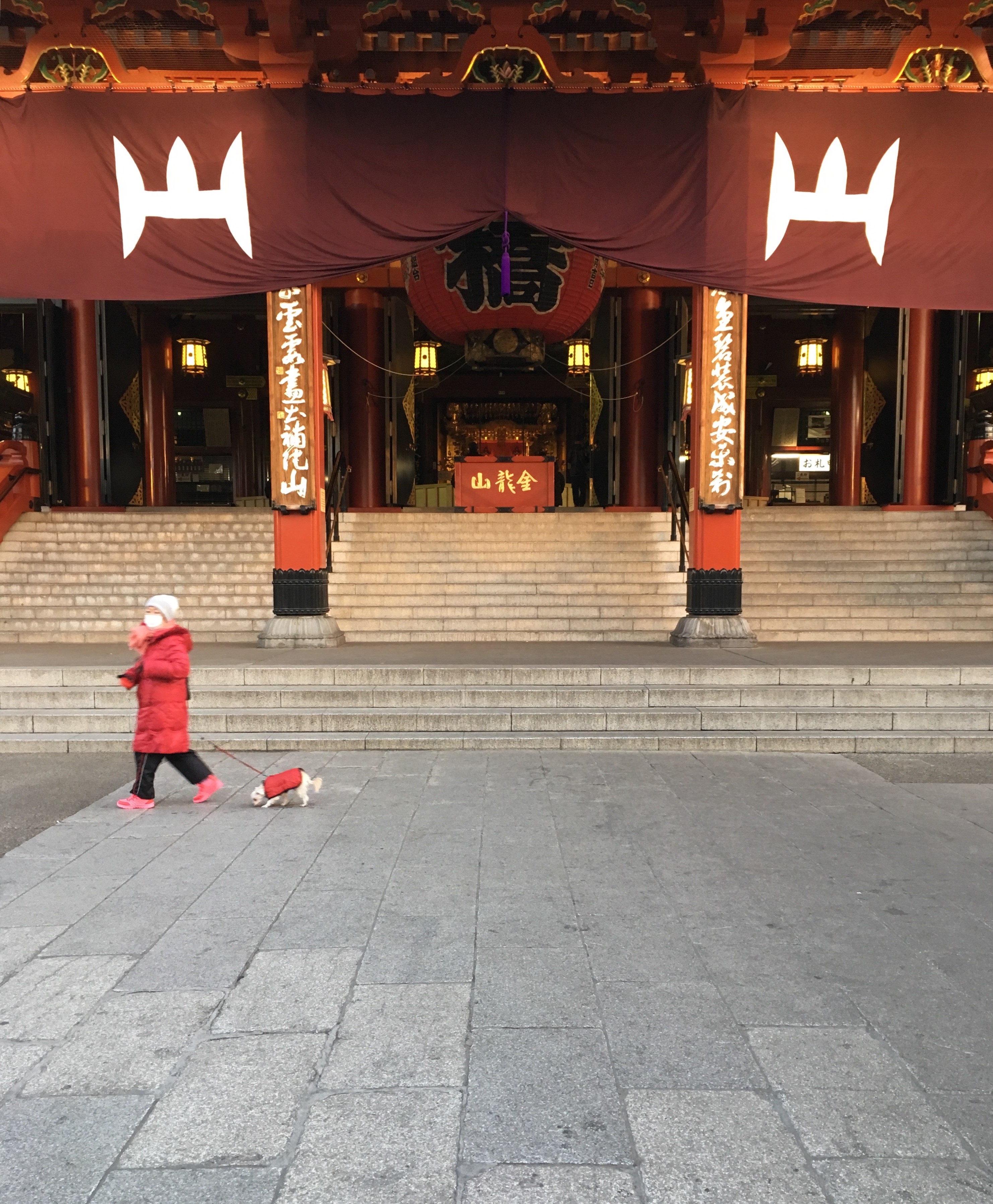 Tilt Shift: Long Views Across the Edo, 2018 - 2019