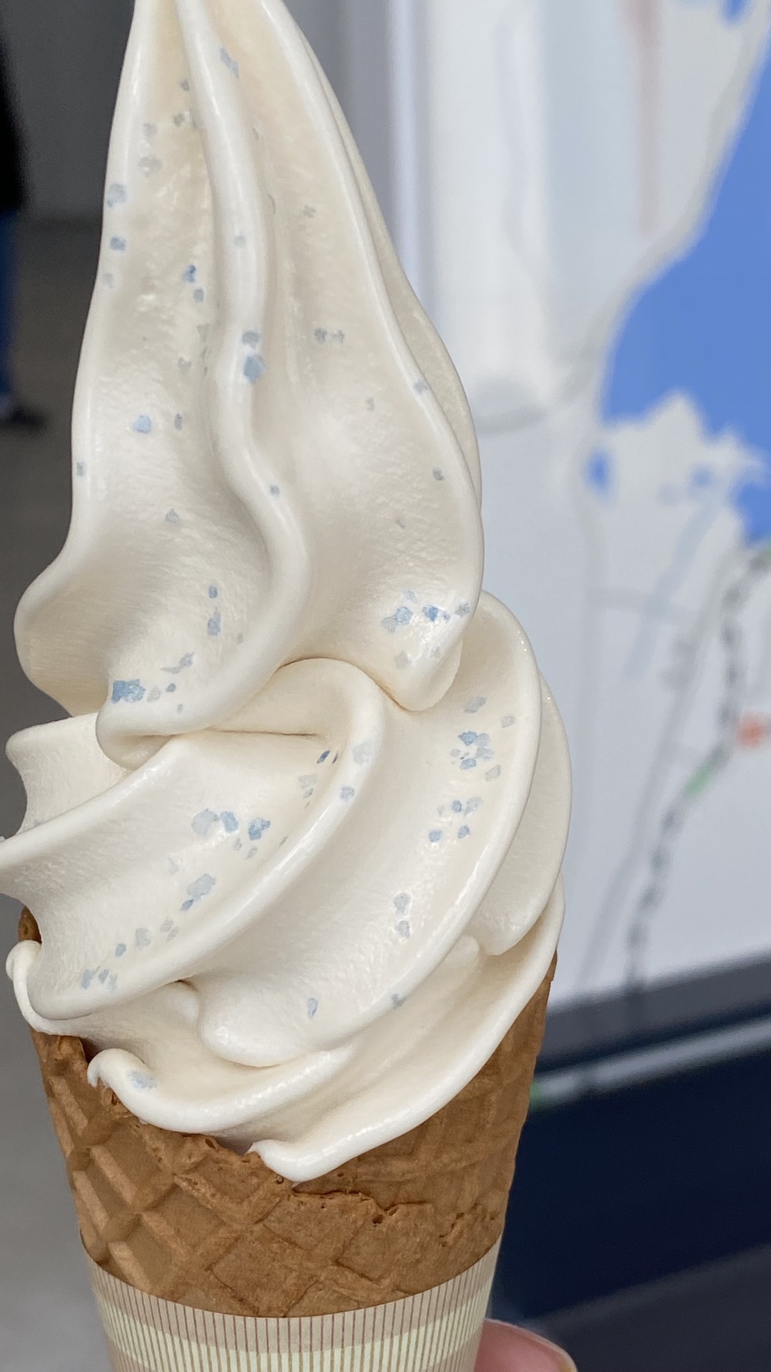 The soft translucent blue of the salt really looks so lovely on the caramel soft cream!