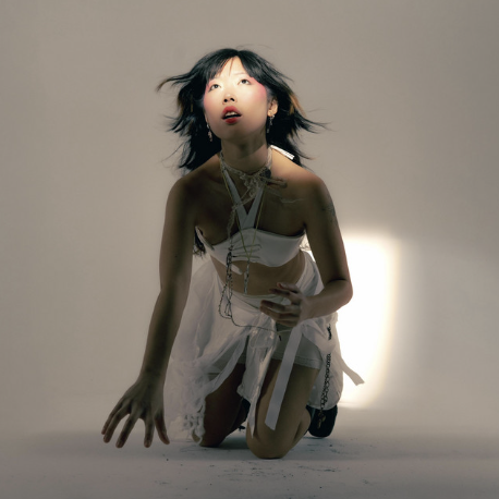 everything is a dream, bit it is your dream / Father Koi