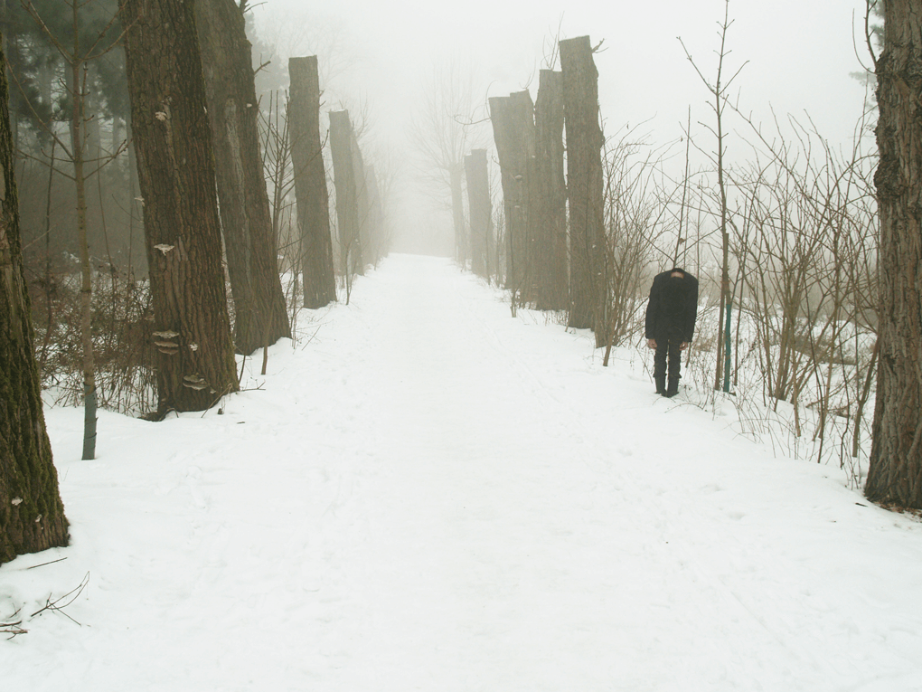 Untitled#12(from the series chameleon), c-print on dibond, variable size, 2010