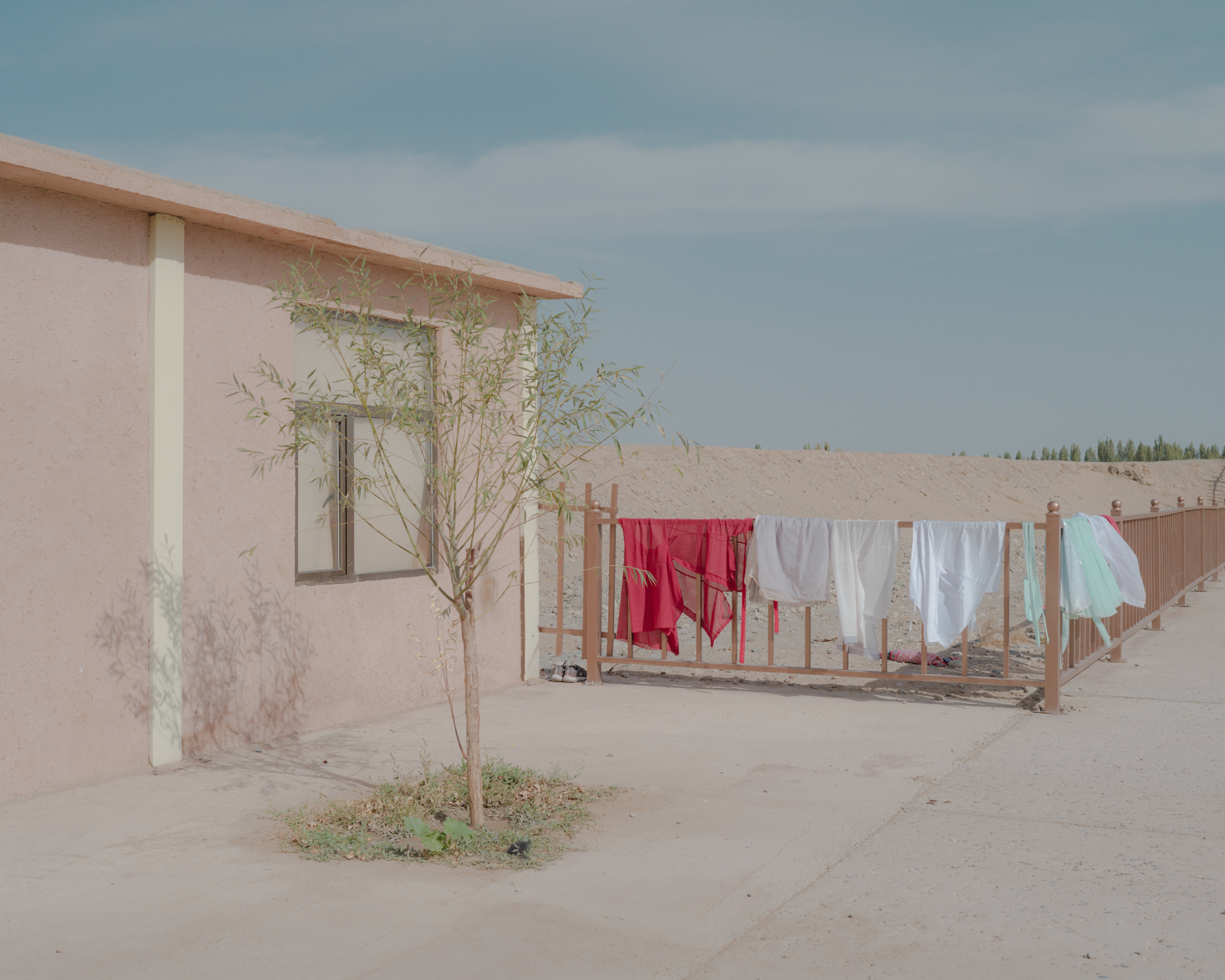 Tenderness in the vastness, 2021