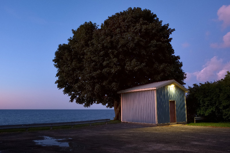 © Carl CoreyShadigee, 2019