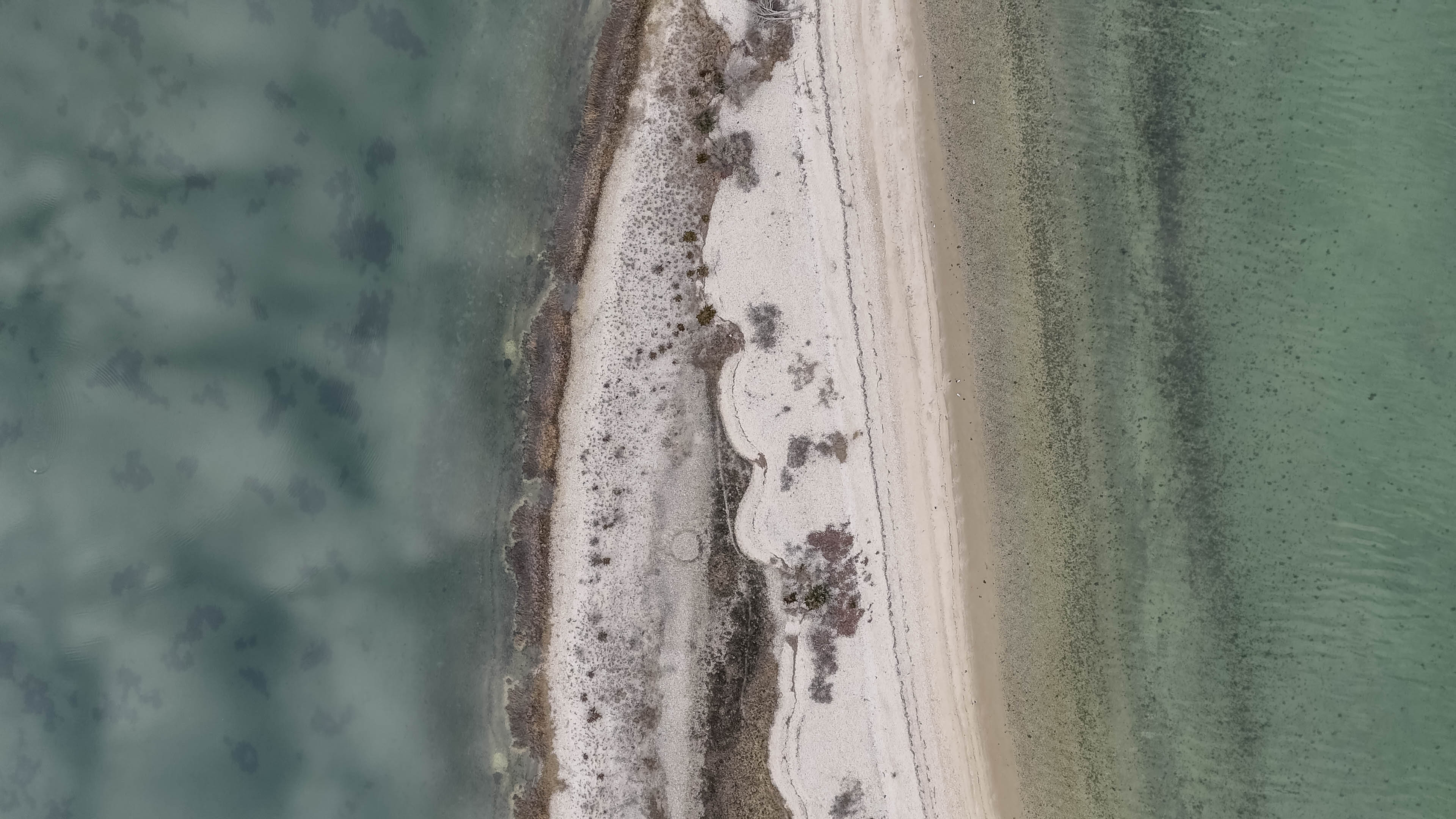 Elizabeth A. Morton National Wildlife Refuge, Southampton, NY