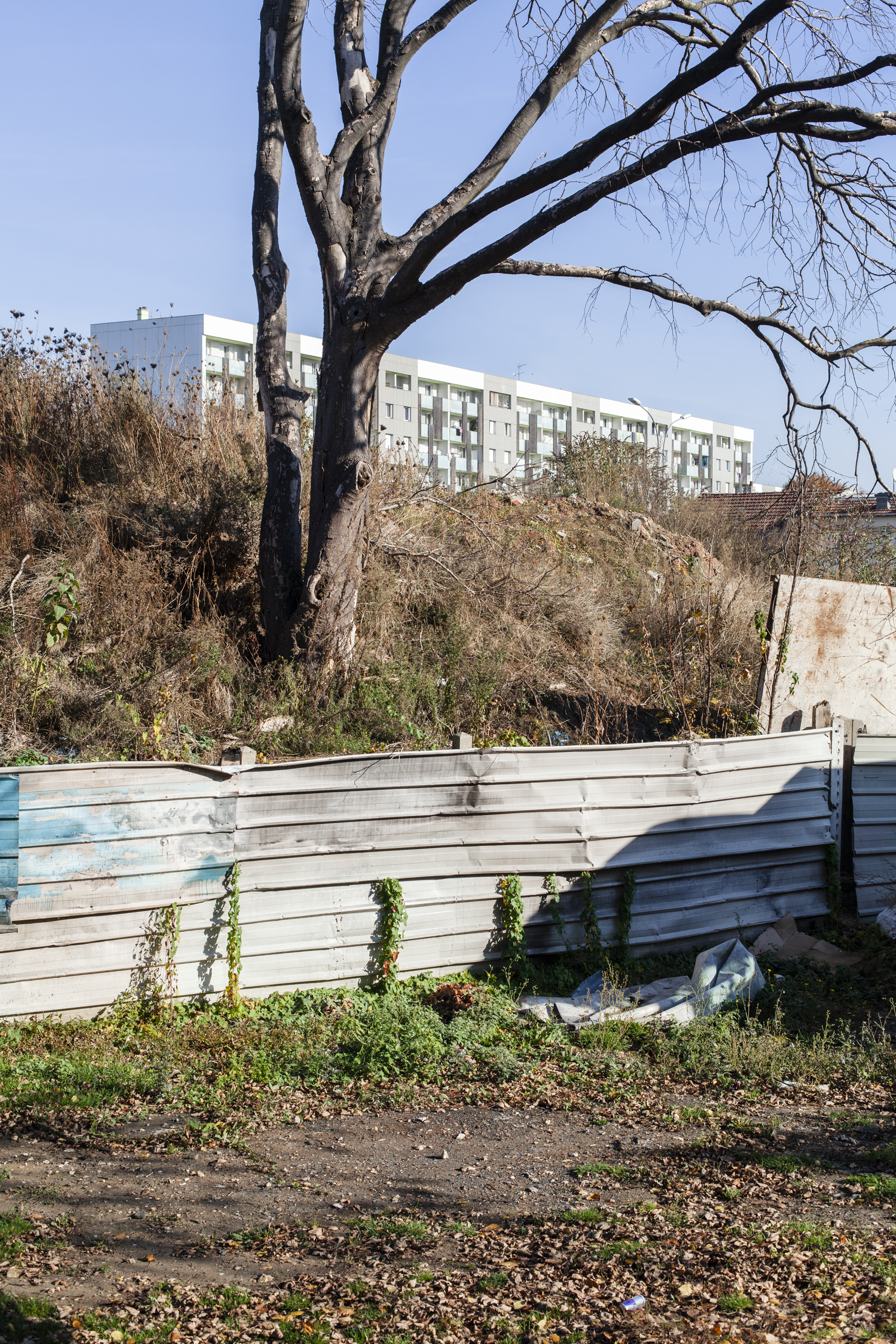 julien cregut - péri -©juliencregut