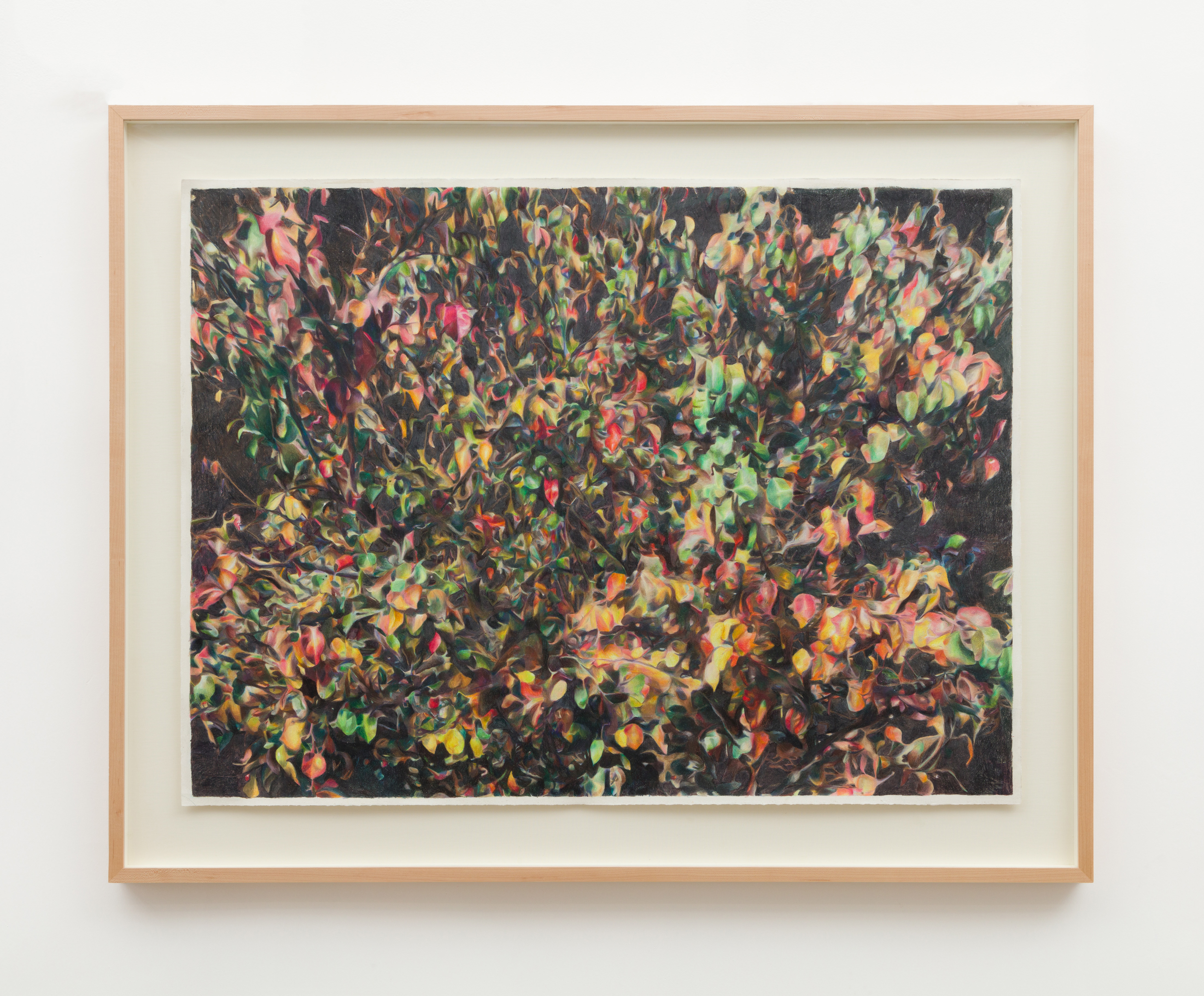 Black Canopy (2021-2023) colored pencil and ballpoint pen on paper 30 in x 40 in