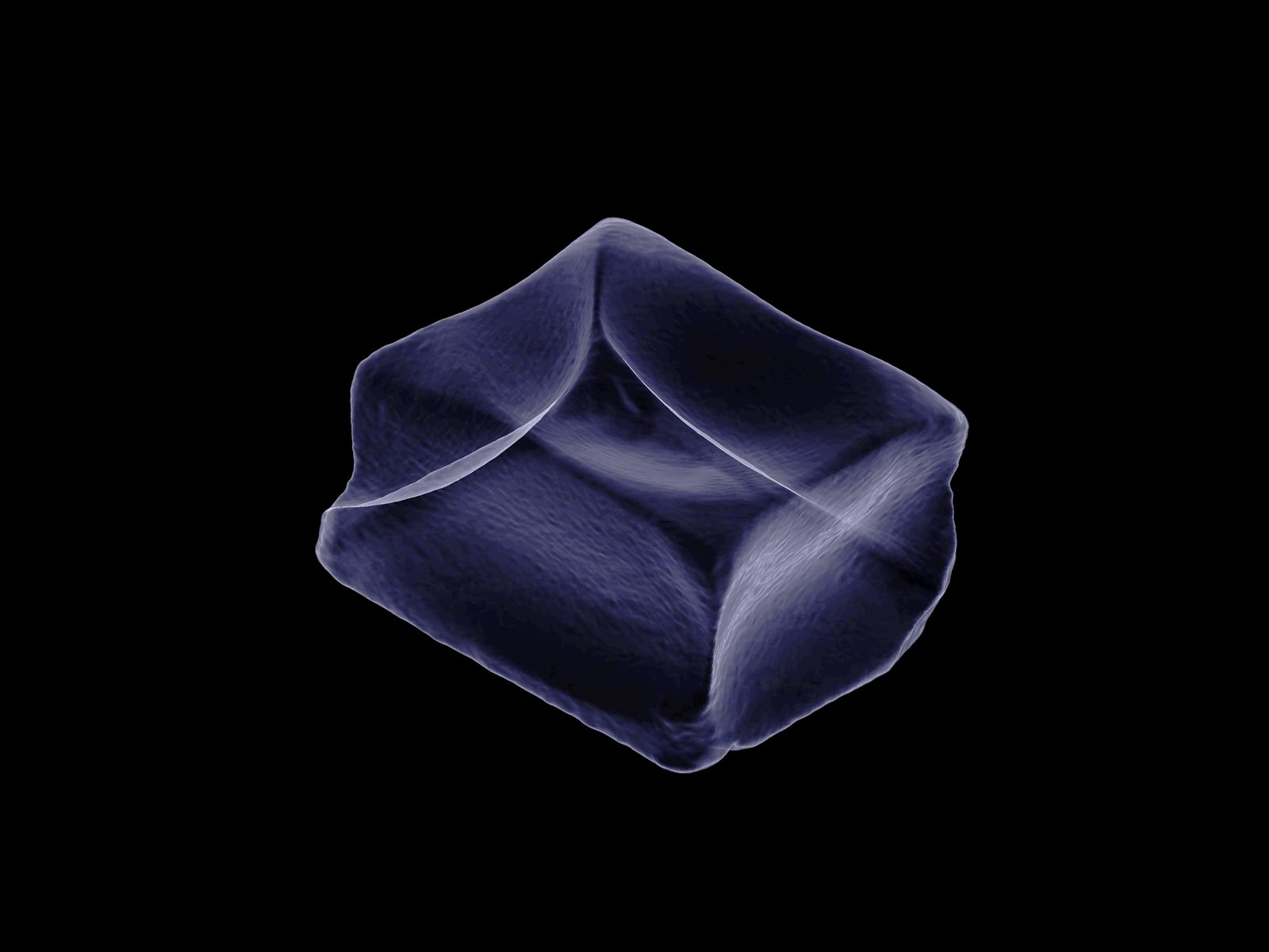 3D scanned image of a salt lick, 2025.