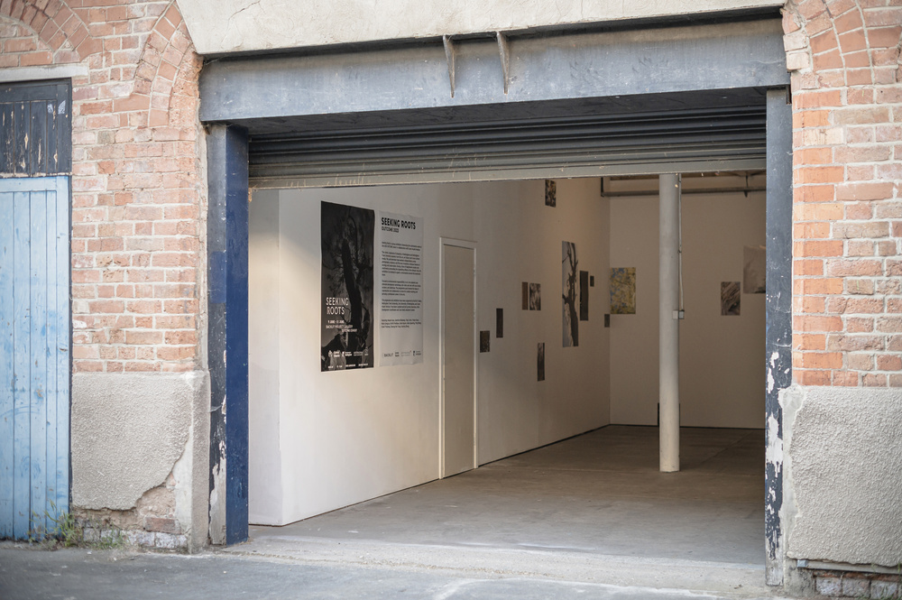 OUTCOME: Seeking Roots for BACKLIT. Photo Credits: Tom Morley 