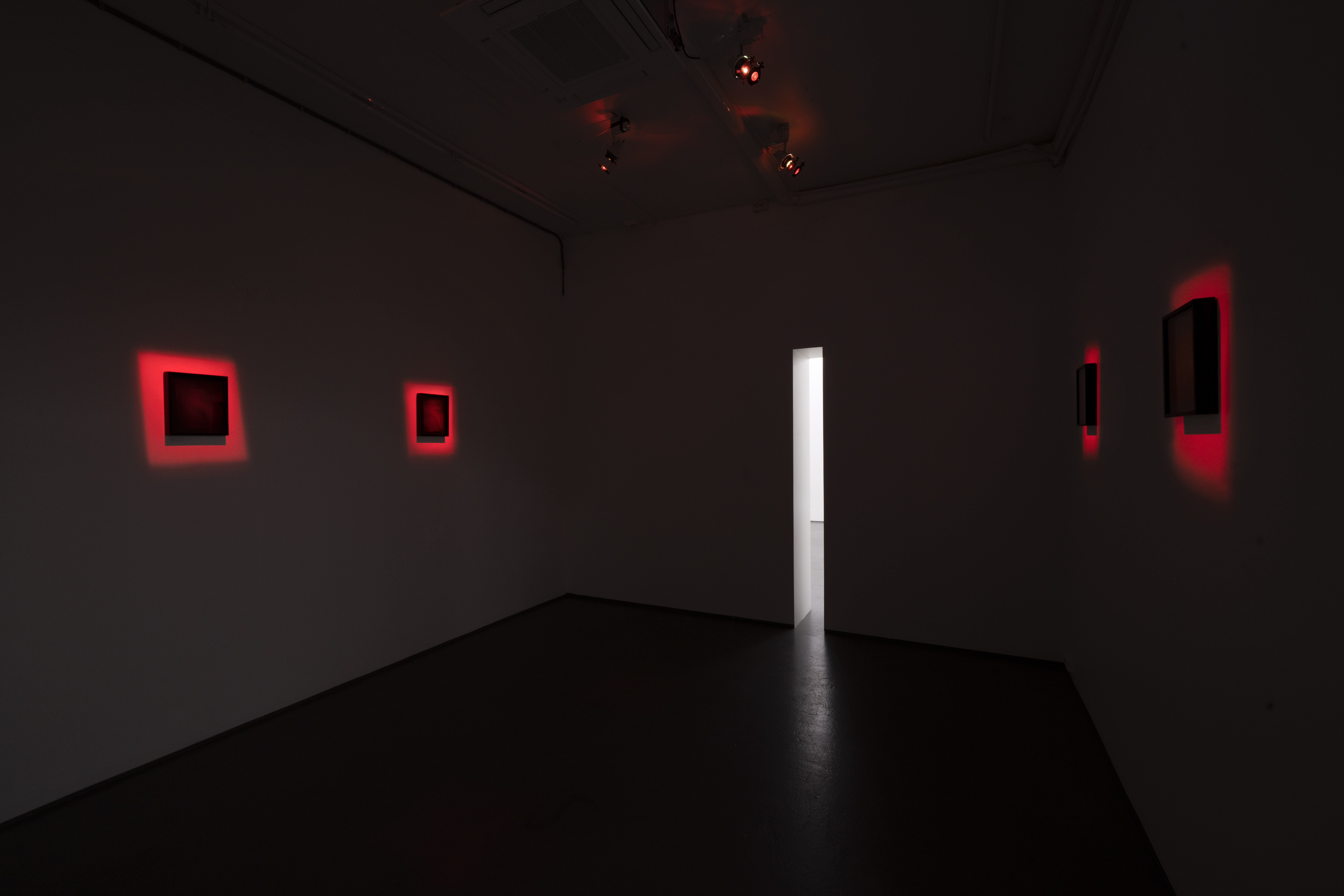 Tiptree's Dead Birds (installation view), unique glass plate reflective holograms