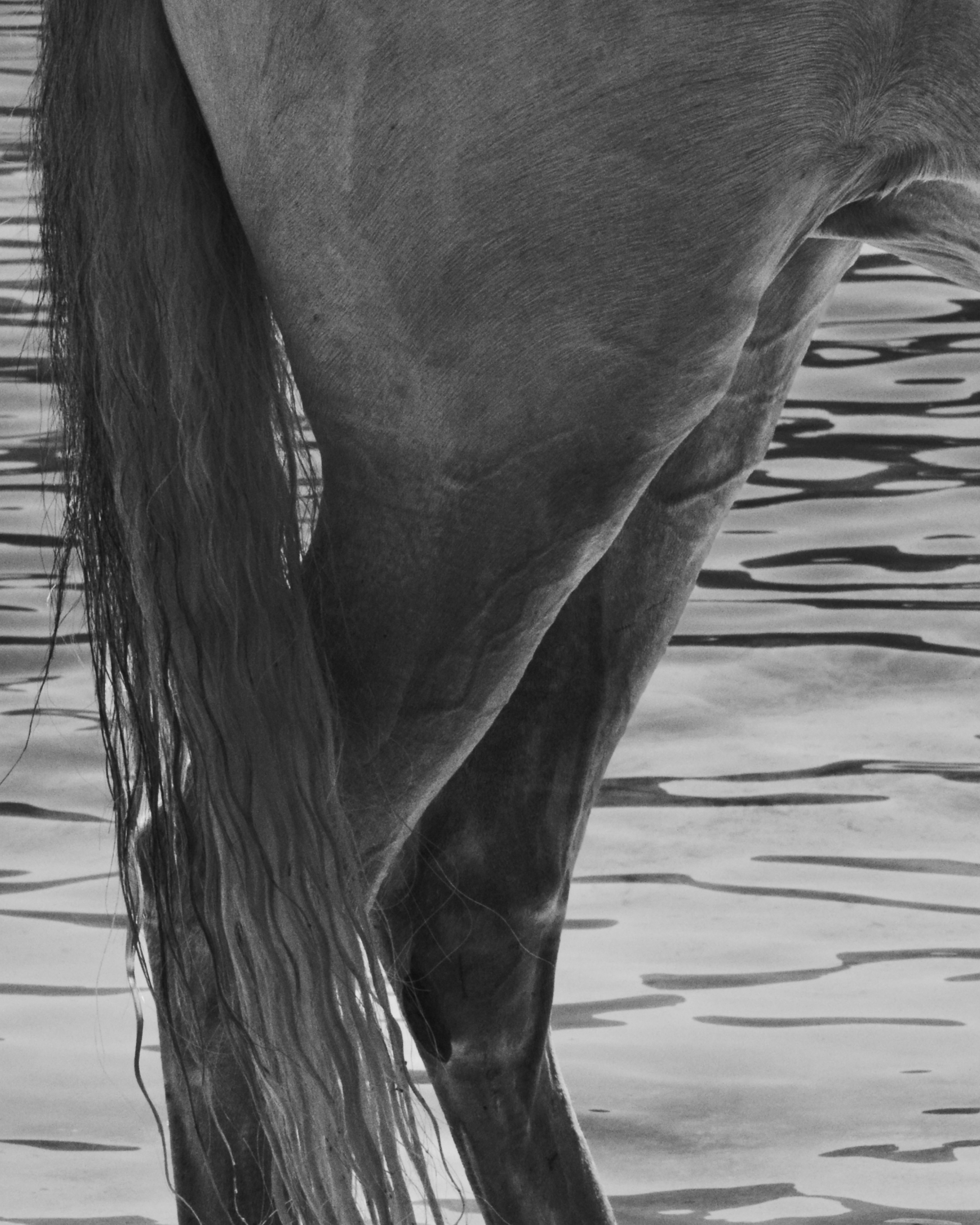 the menorca series - photography