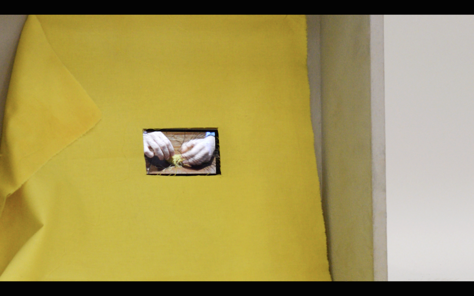 Film still. Video playing on an iphone that is placed behind turmeric dyed cotton.