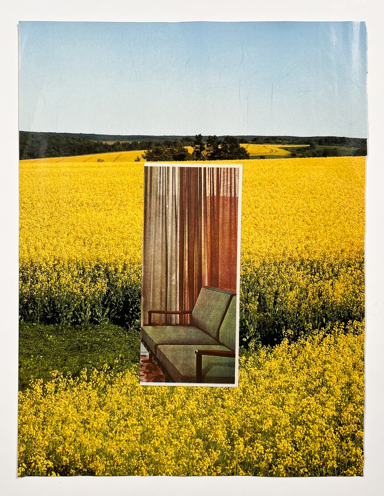 Living room in a yellow field