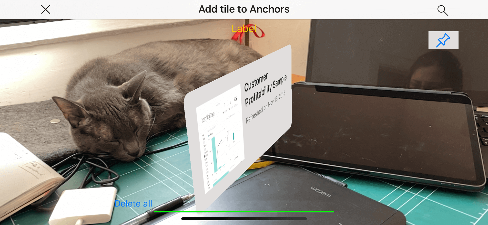 Testing "Data in Space" in one of the early versions, with the help of my cat.