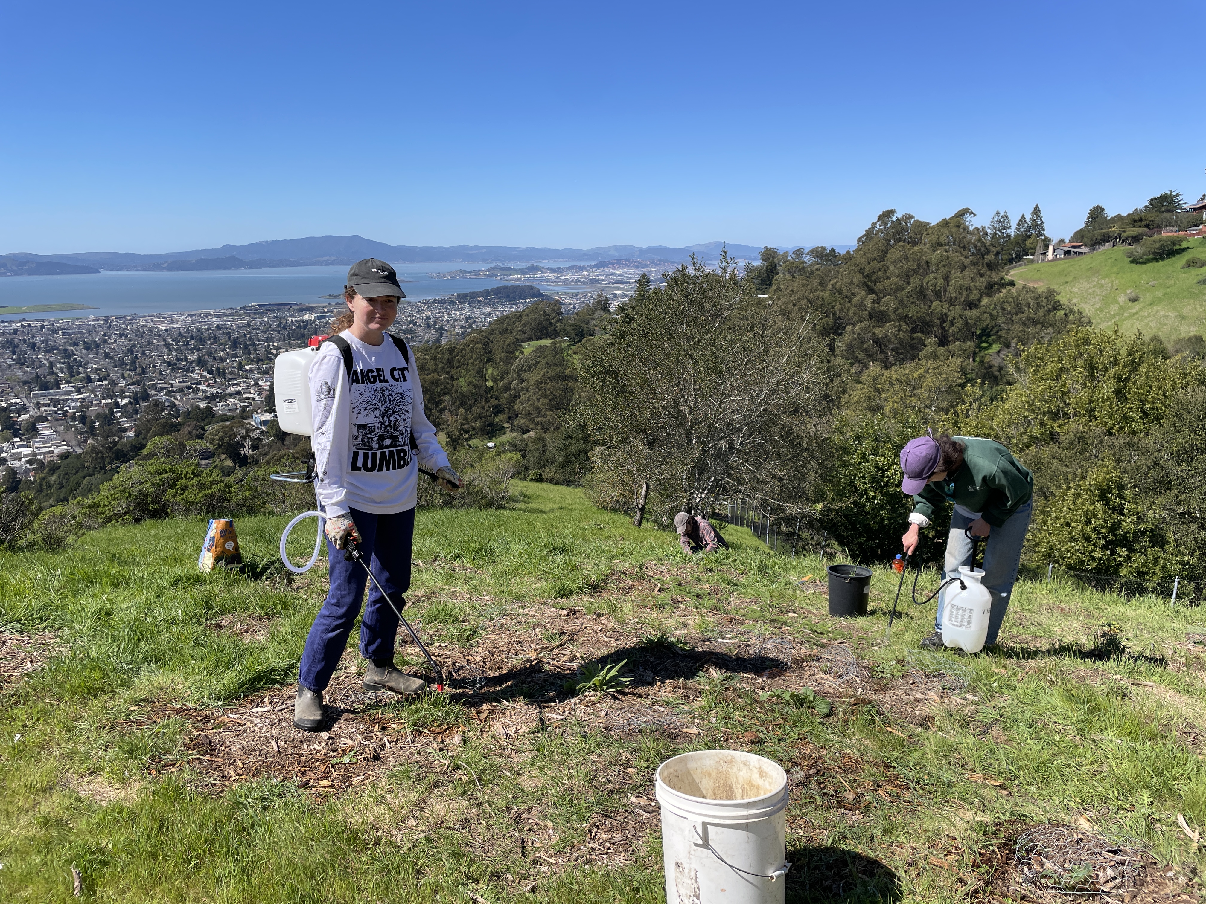 1/23 1st attempt at vinegar application