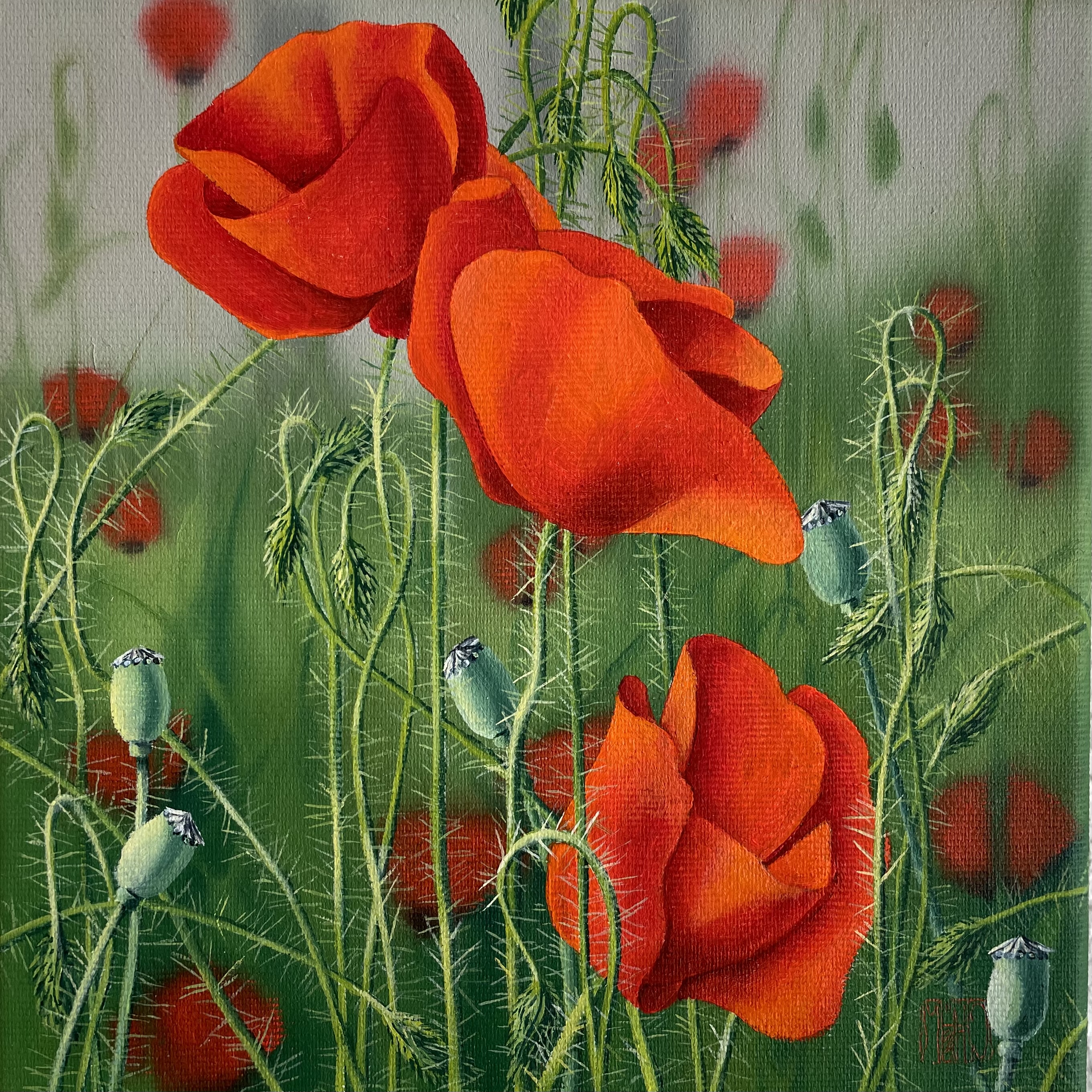 482–Mohn Nr. 920×20 cmÖl auf Leinwand2022︎ Bild kaufen