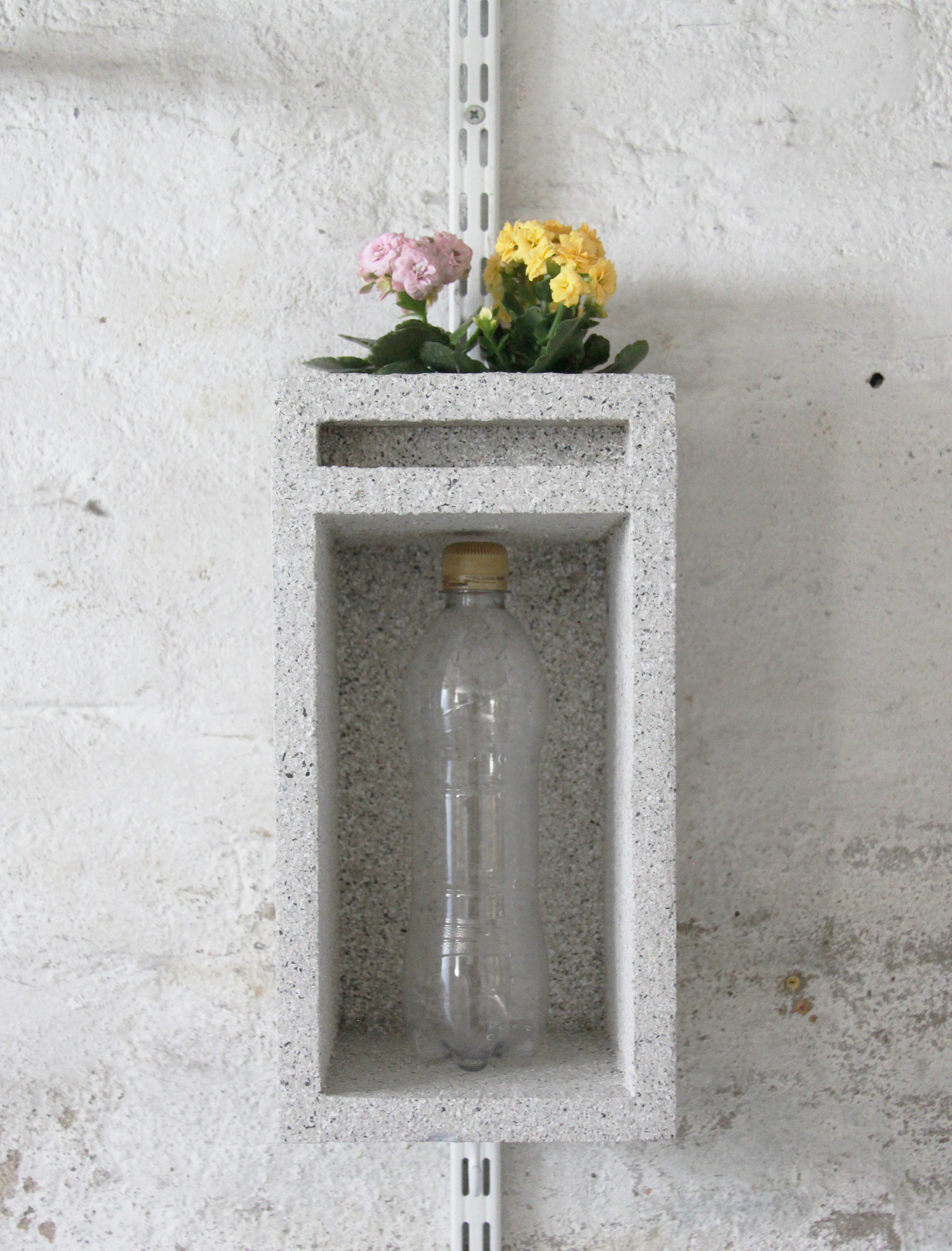 compartment for a plastic bottle and a planter #2, 2025, 44cm x 16.5cm x 14.5cm, plastic bottle, plant, soil, wood, stone textured spray paint