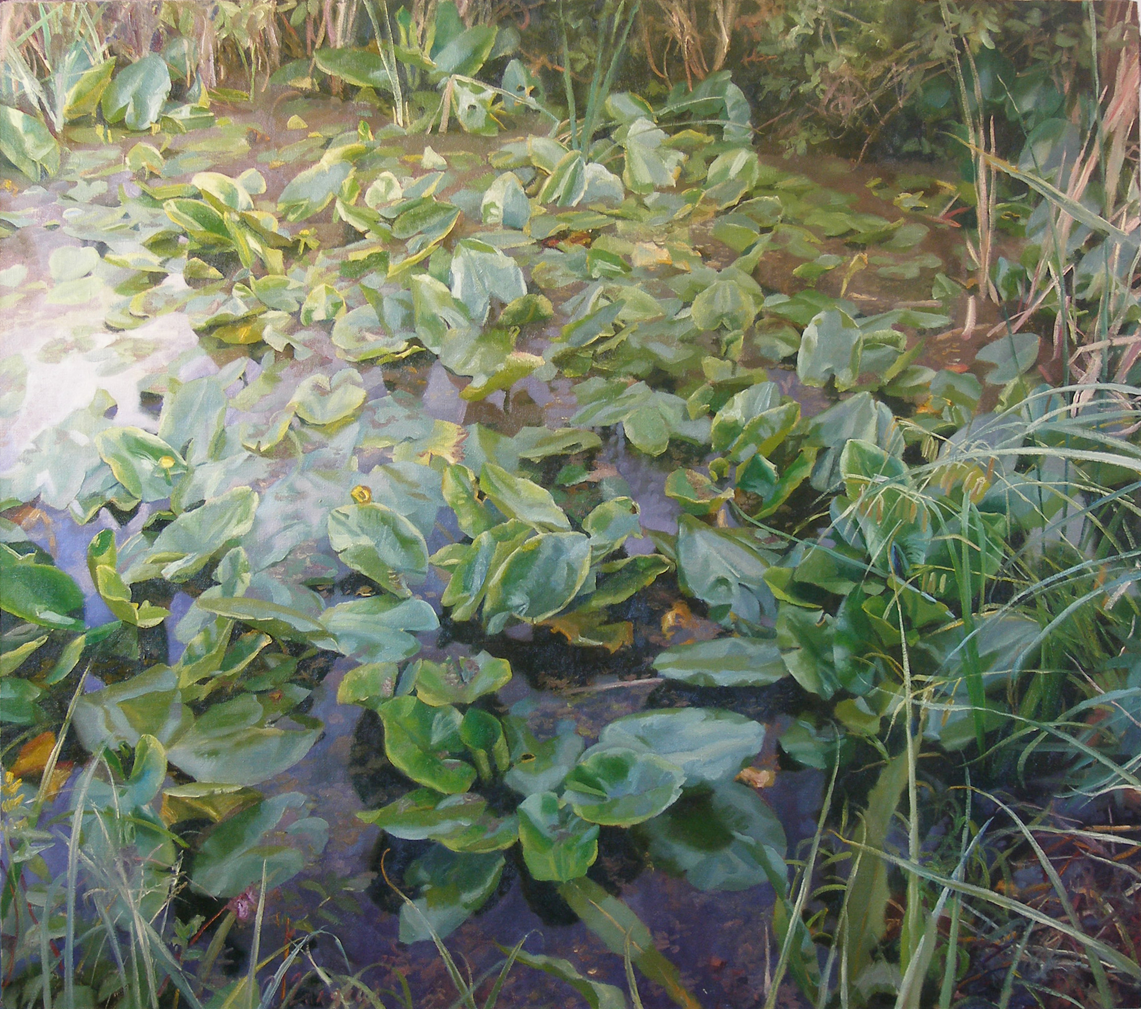  "Pond", 2011, oil on canvas, 115 × 130 cm