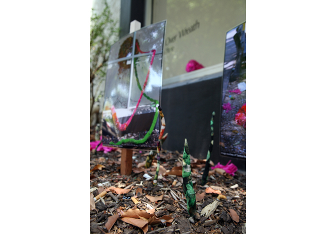 The installation view of 'Left Over Wreath' at NCCA, Darwin. Photography by Fiona Morrison.