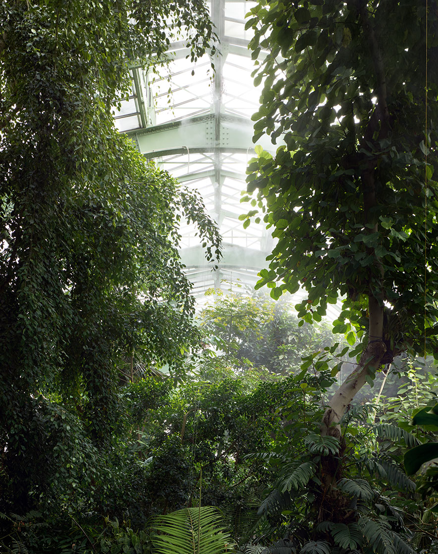NATIONAL MUSEUM OF NATURAL HISTORY, PARIS 
