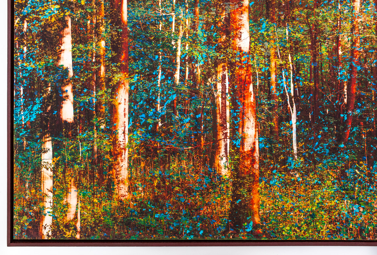 "L'&eacute;chapp&eacute;e myst&eacute;rieuse", 120x80cm - 2022