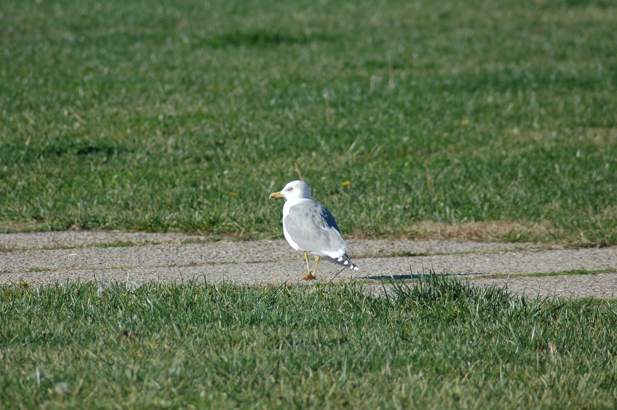 14.12.2024, Otobüs durakları