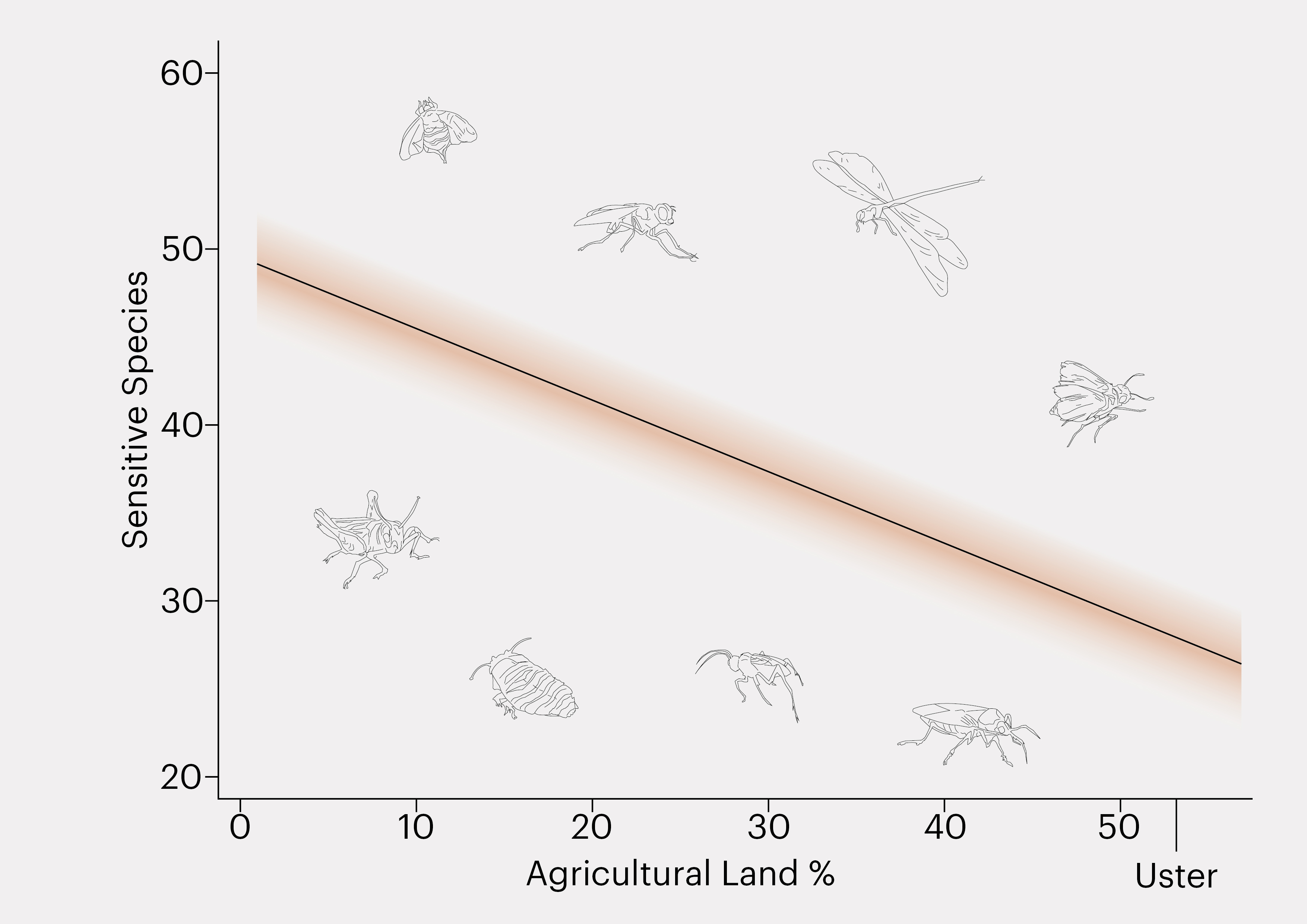 SPEAR index: agriculture impacts number of invertebrates in rivers.