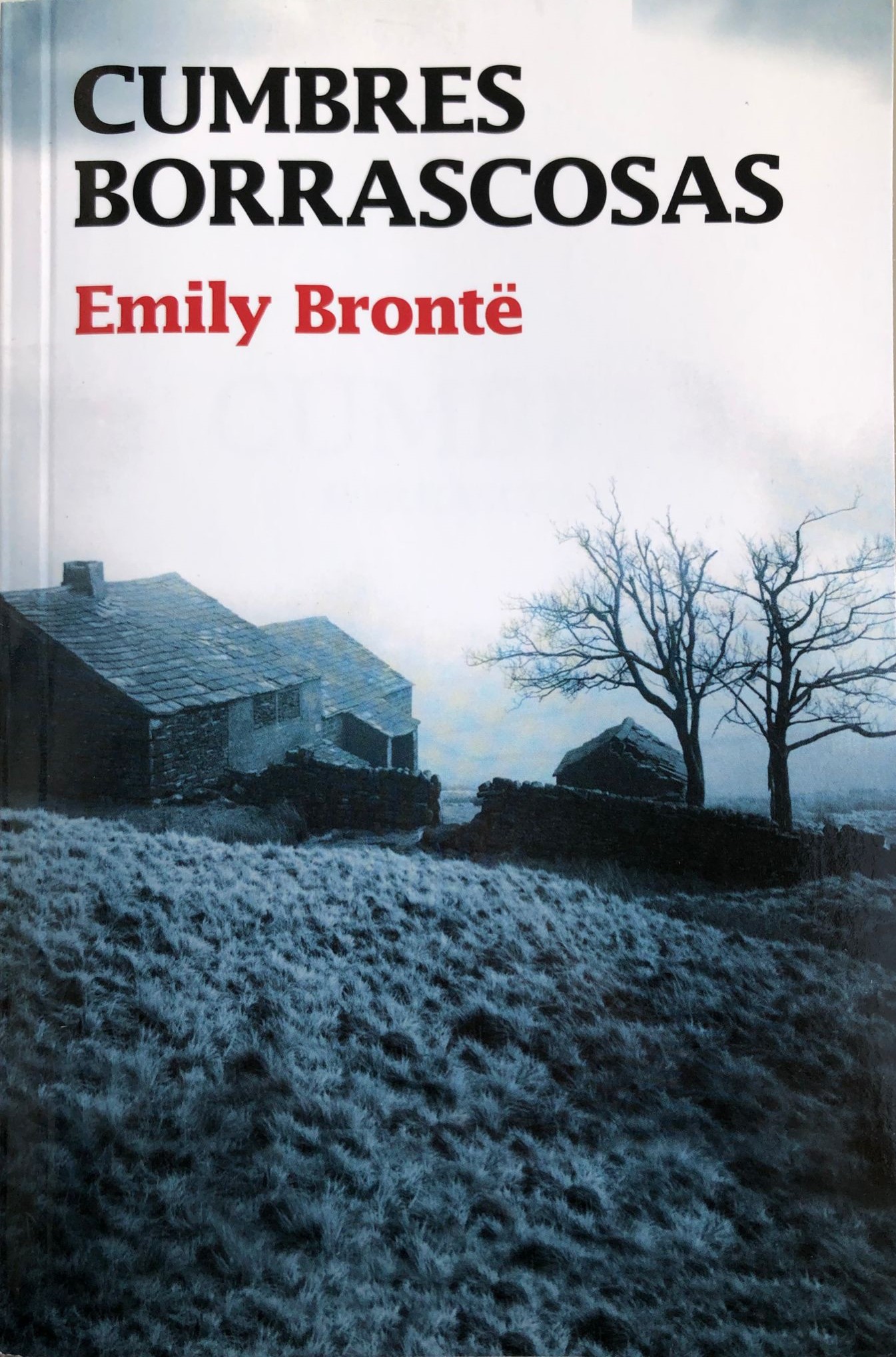 Inglés a castellano. Editorial Diëresis para Zinet Media.