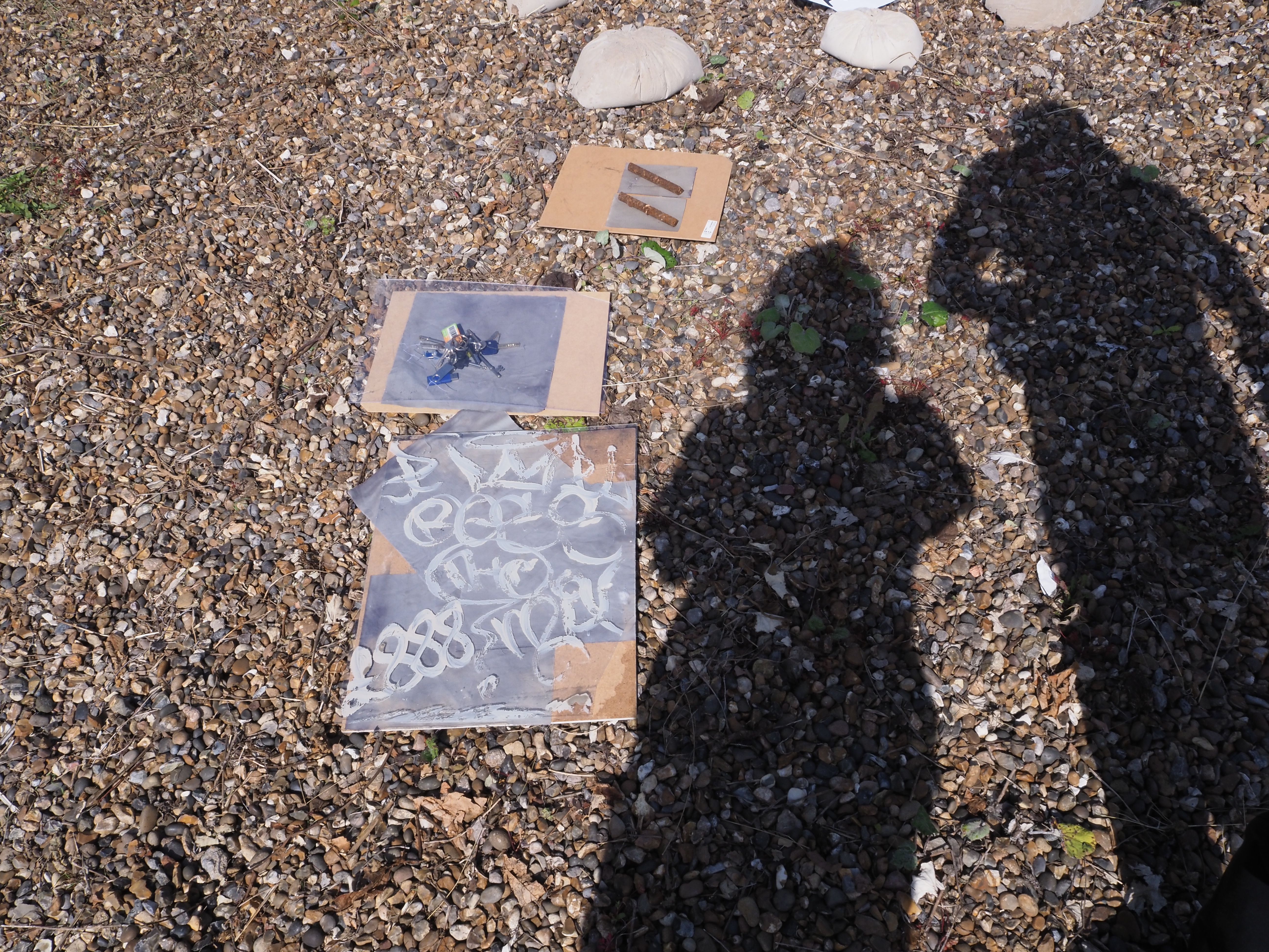 Cyanotype Workshop, Business is Driven By Quarterly Results, 2023. Desire Paths Commission, Turf Projects. 