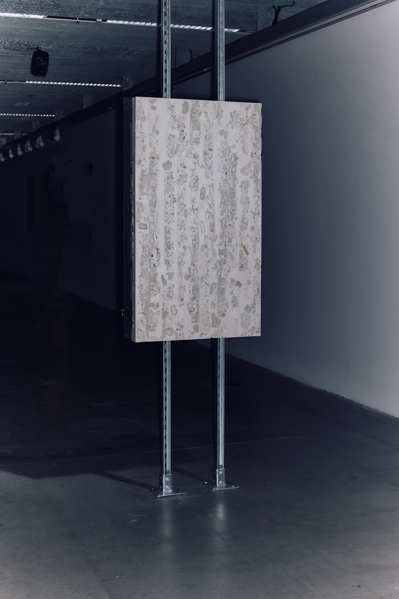 'Deep Time Real Time', Design Hub Gallery, 2025, installation view of 'Death Assemblage' Nicholas Mangan and Cameron Allan McKean, photo Annika Kafcaloudis 