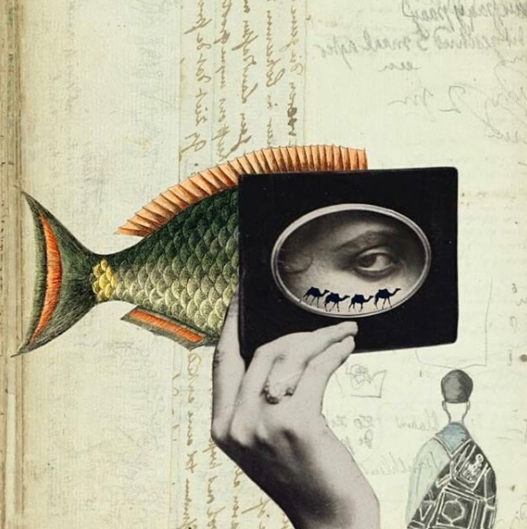 Patricia Mastroberti